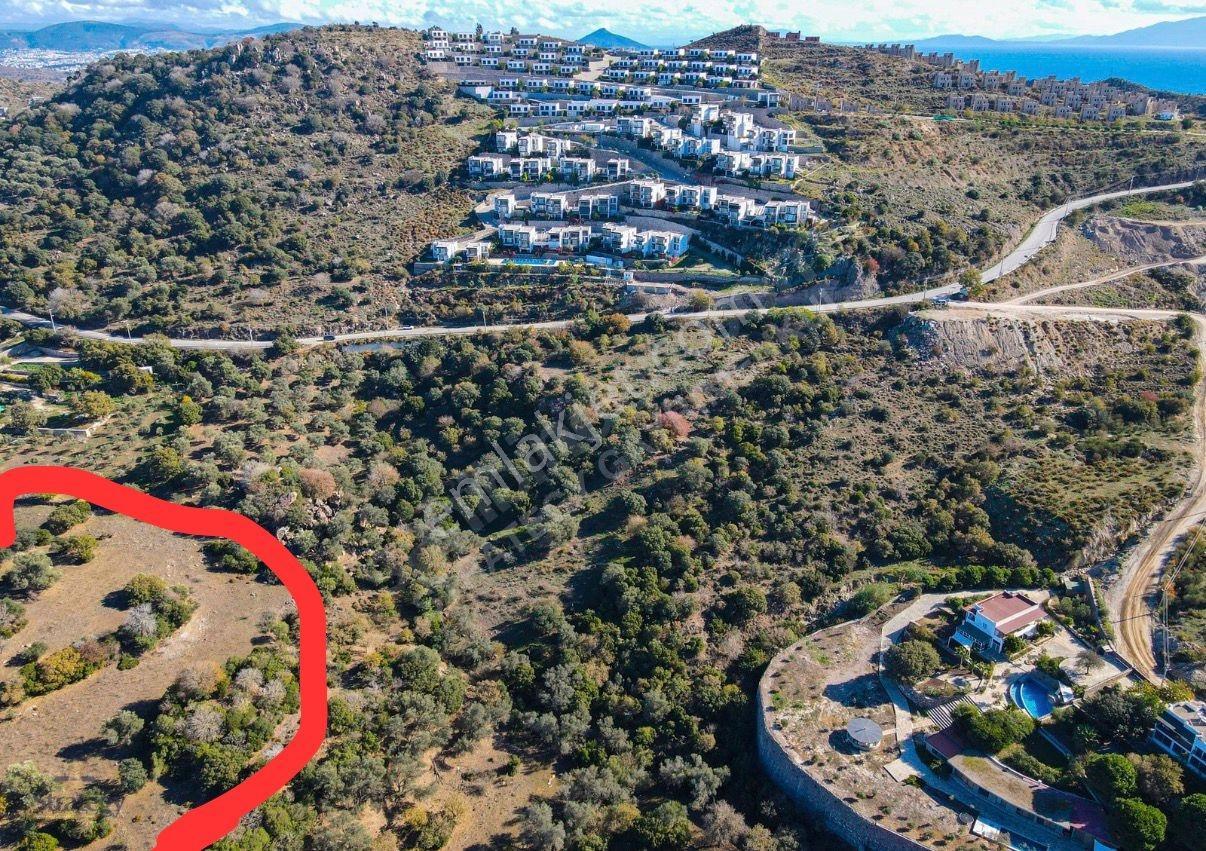 Bağlada İmar Sınırın'da Yatırım Değeri Yüksek Satılık Tarla - Görsel 4