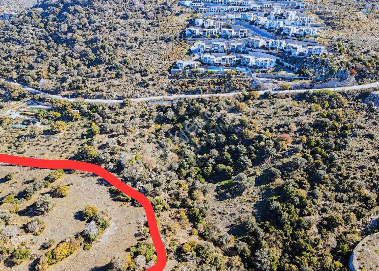 Bağlada İmar Sınırın'da Yatırım Değeri Yüksek Satılık Tarla - Görsel 5