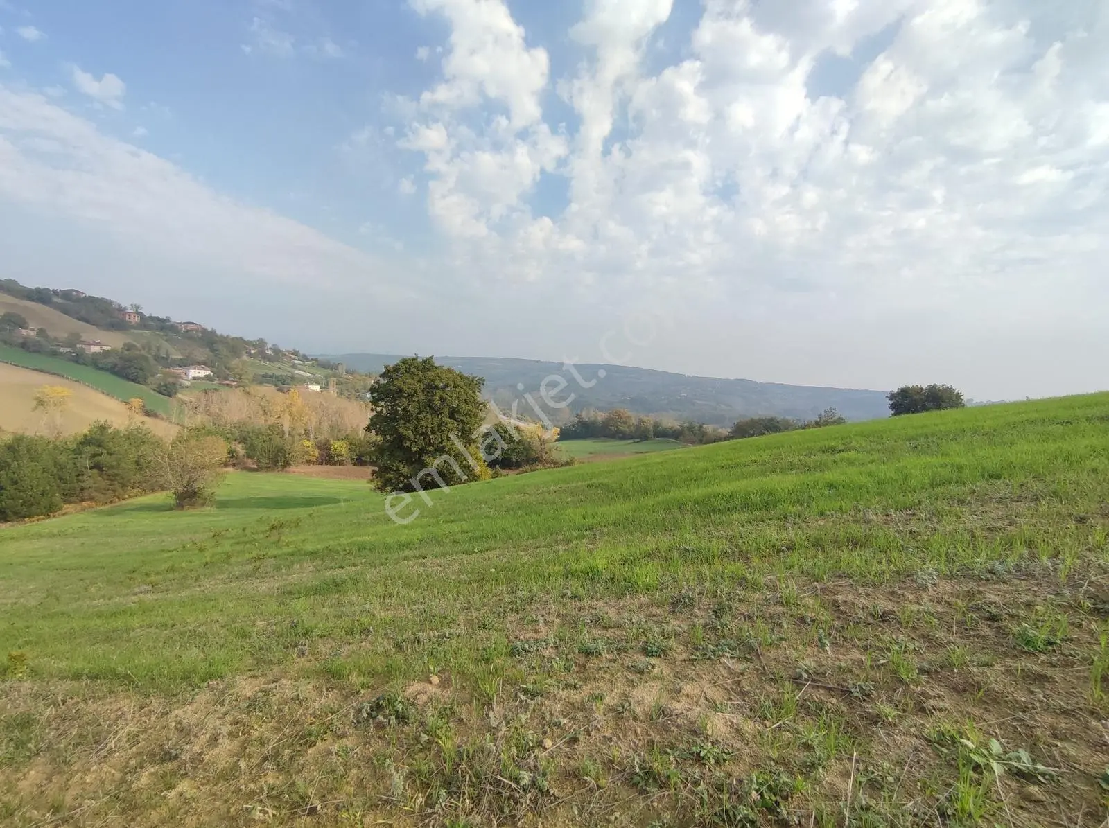Remax Parladan Sinop Gerzede Satılık Tarla - Görsel 3