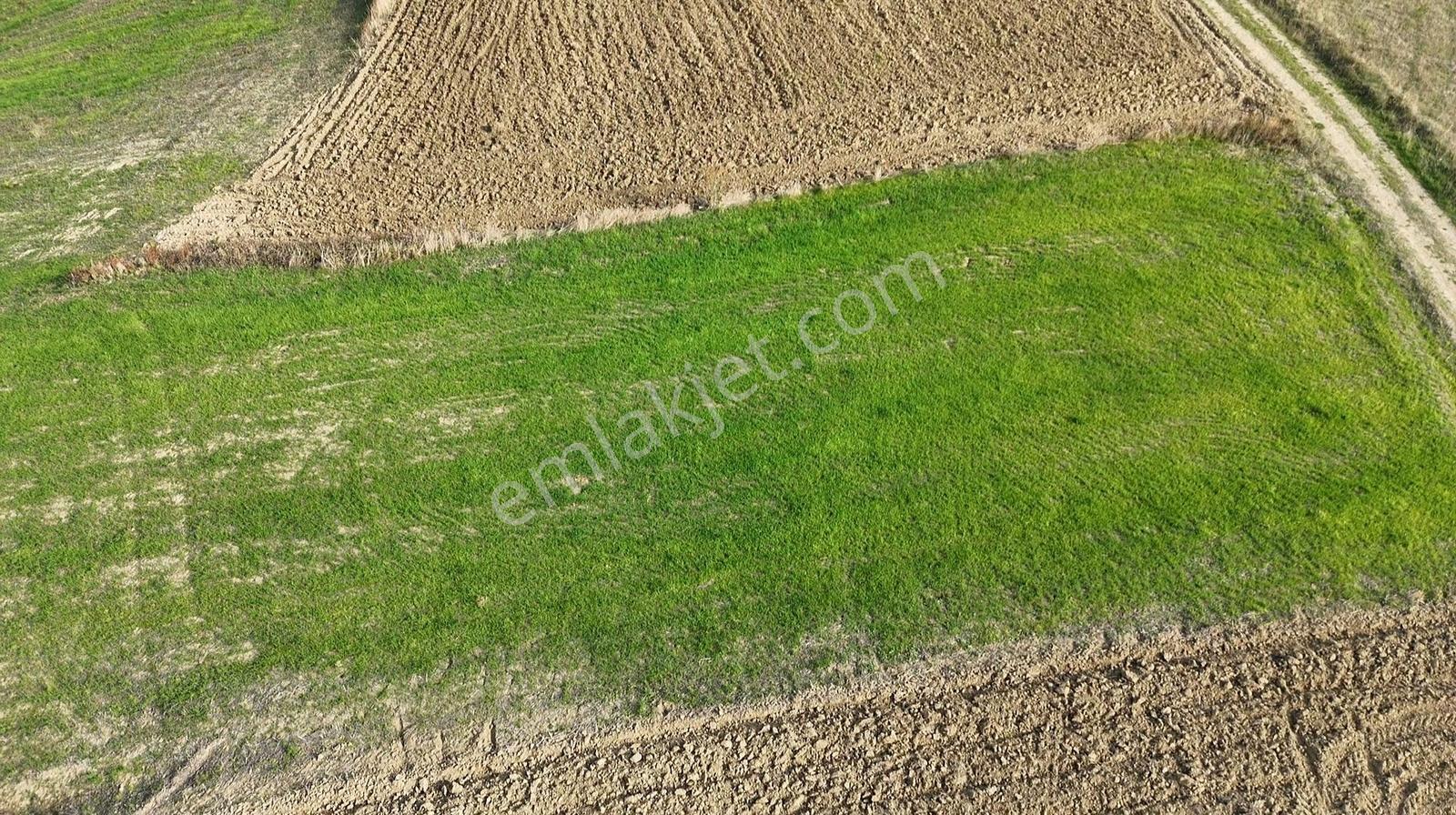 Remax Parladan Sinop Gerzede Satılık Tarla - Görsel 23