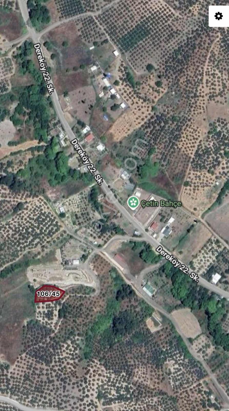Mudanya Dereköyde Müstakil Tapulu 1.011 M² Satılık Zeytinlik - Görsel 2