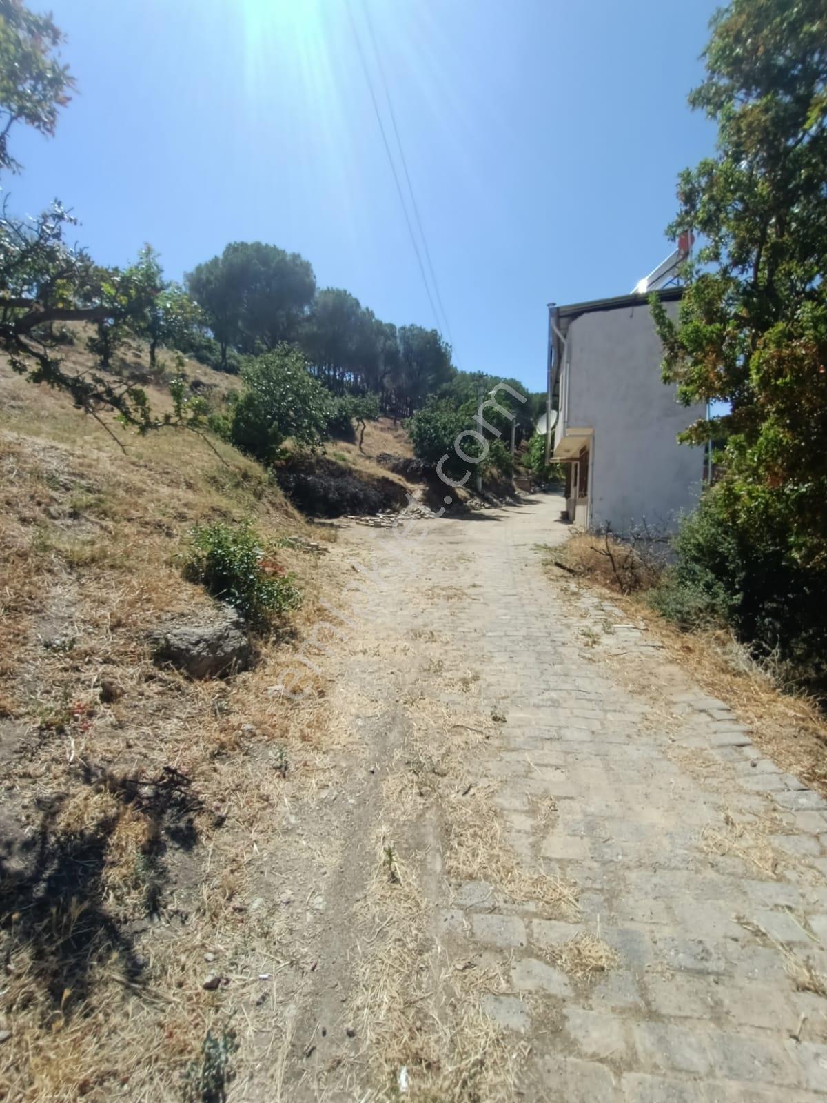 Satılık 2 Adet Daire Tek Tapu Tek Fiyat - Görsel 30