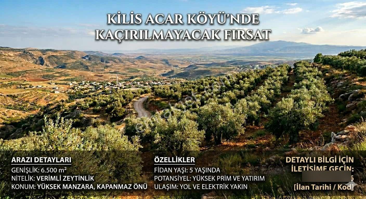 Aktif Gayrimenkul Den Kilis Acar Köyünde Satılık Arazi