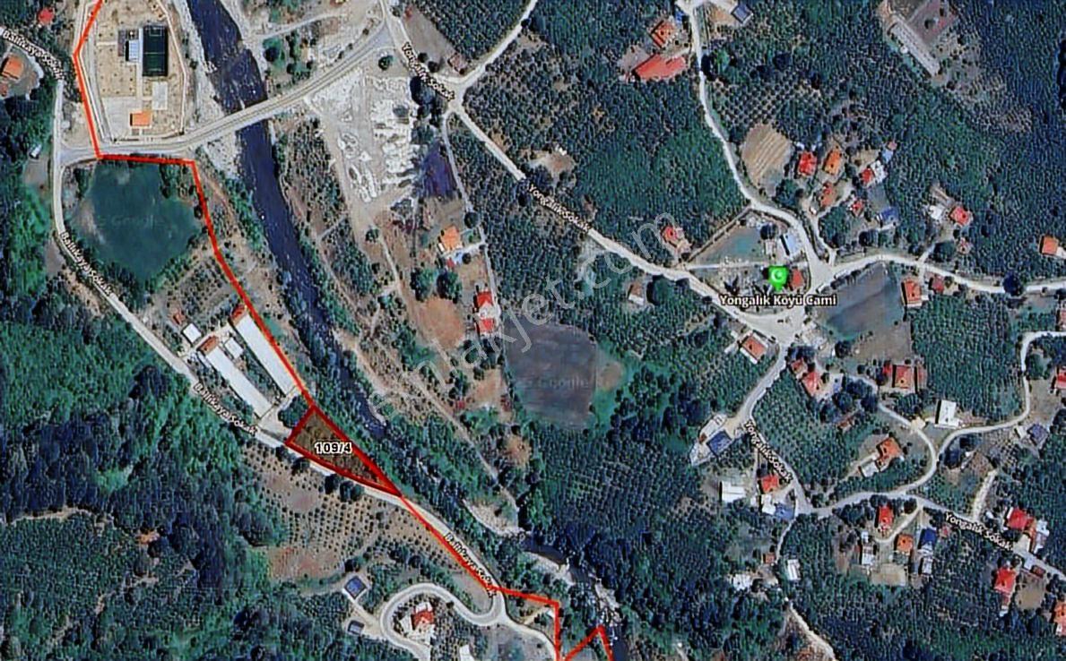 Sakarya Akyazıda 2081 M2 Fındıklık