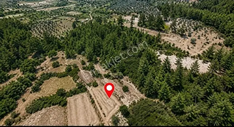 Yıldırım Mühendislik'ten Ören/alatepe'de 1300 M2 Fırsat Tarla - Görsel 4