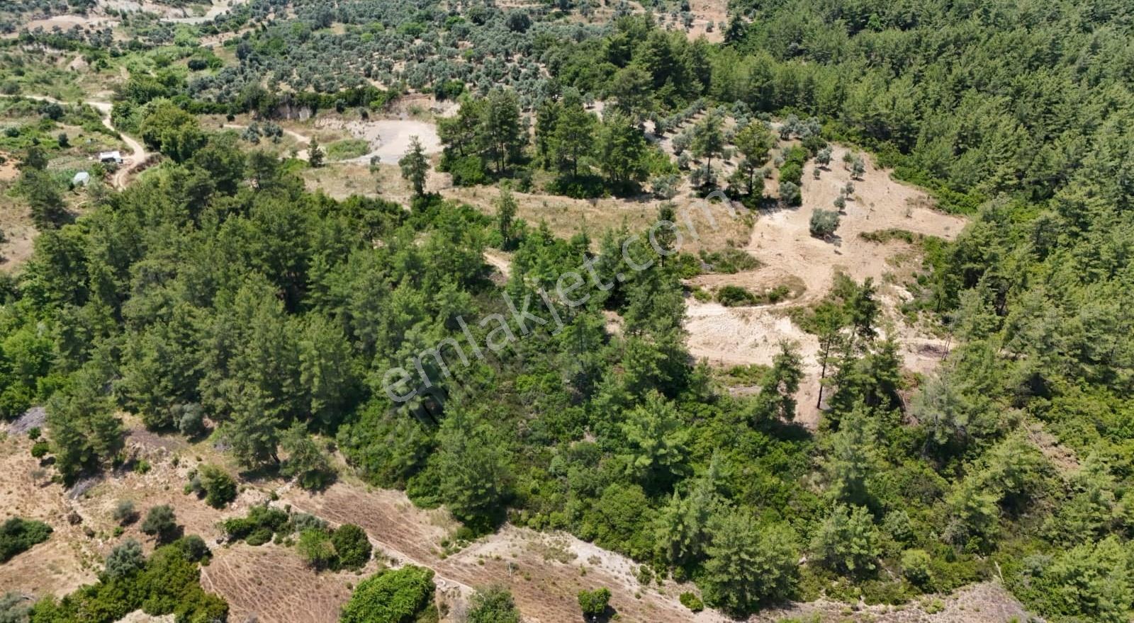Yıldırım Mühendislik'ten Ören/alatepe'de 1300 M2 Fırsat Tarla - Görsel 2