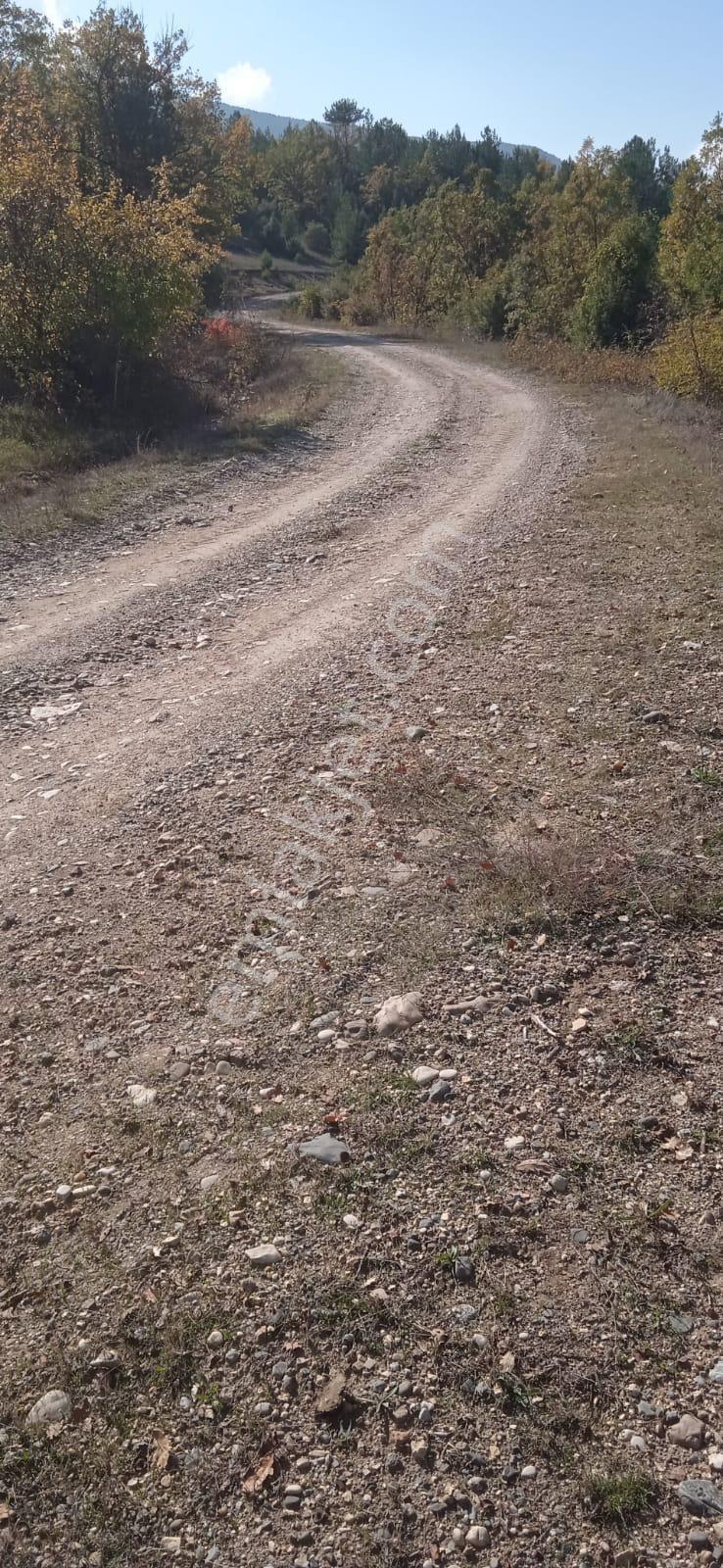 Kastamonu Araç Karacalar Köyünde 3.067 M² Tarla - Görsel 2