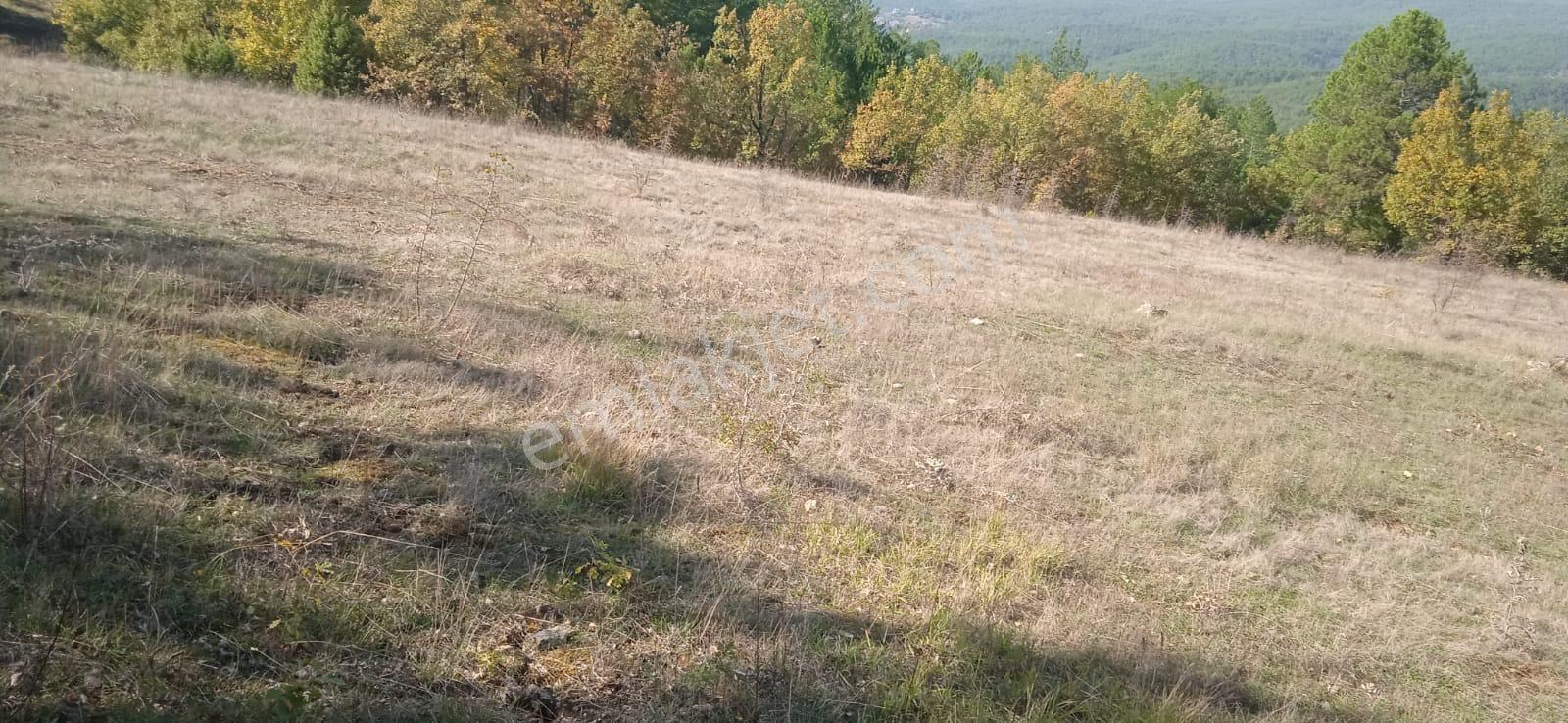 Kastamonu Araç Karacalar Köyünde 3.067 M² Tarla - Görsel 8