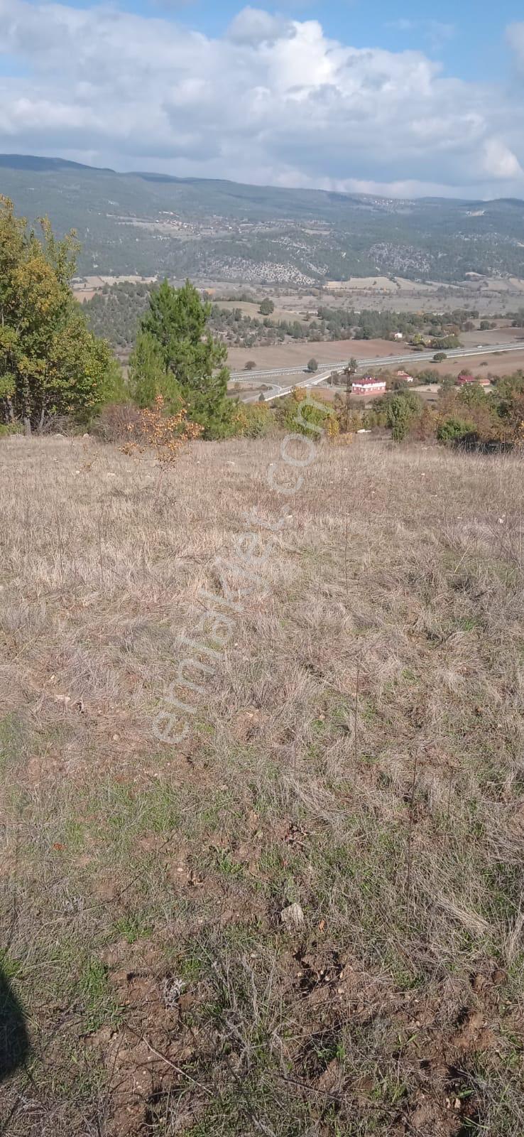 Kastamonu Araç Karacalar Köyünde 3.067 M² Tarla - Görsel 10