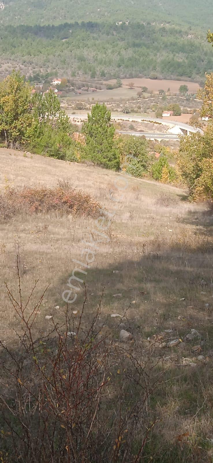 Kastamonu Araç Karacalar Köyünde 3.067 M² Tarla - Görsel 7