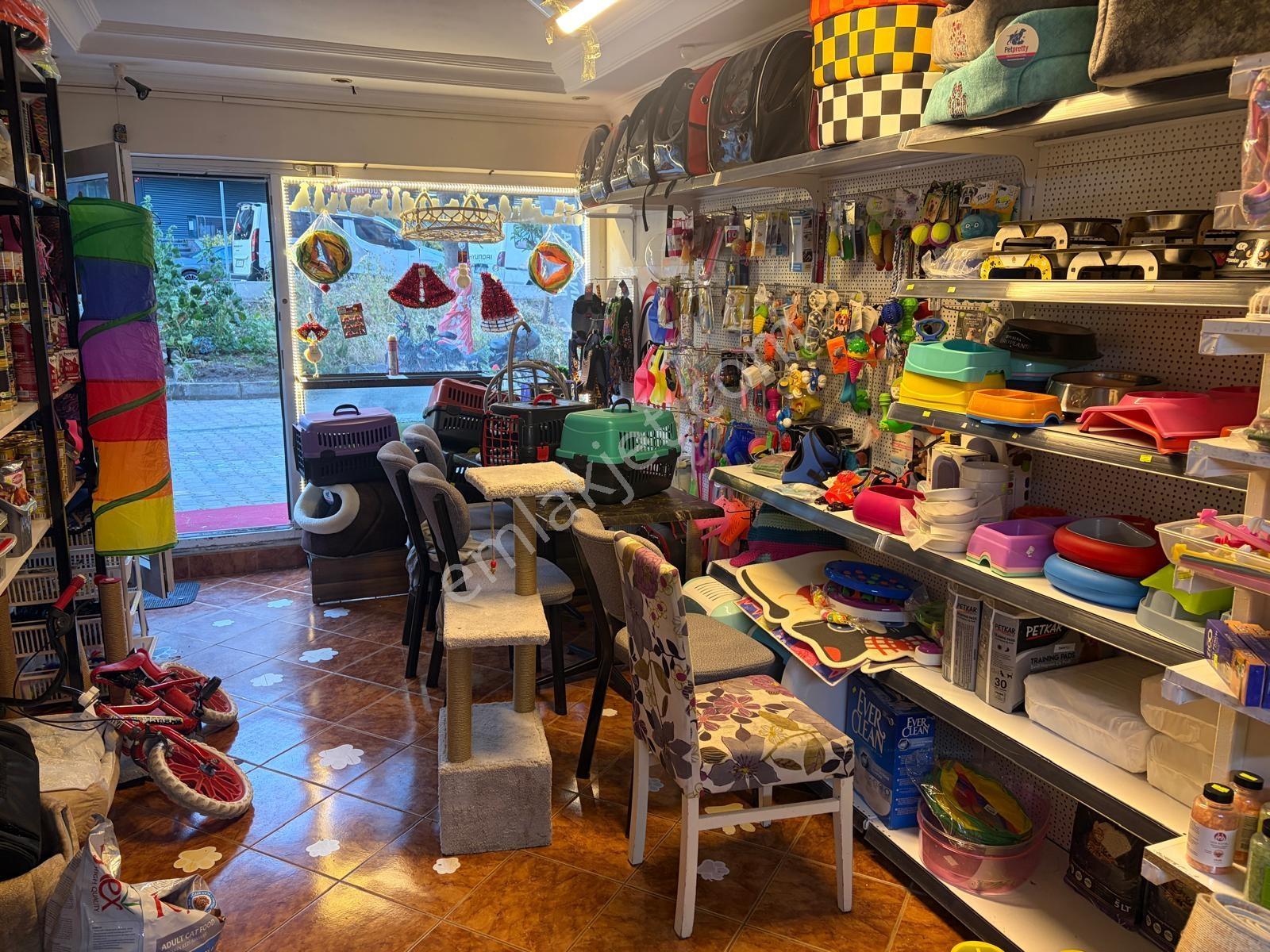 Varlı Kent'ten Devren Kiralık Her Şeyi Hazır Petshop Dükkanı - Görsel 4