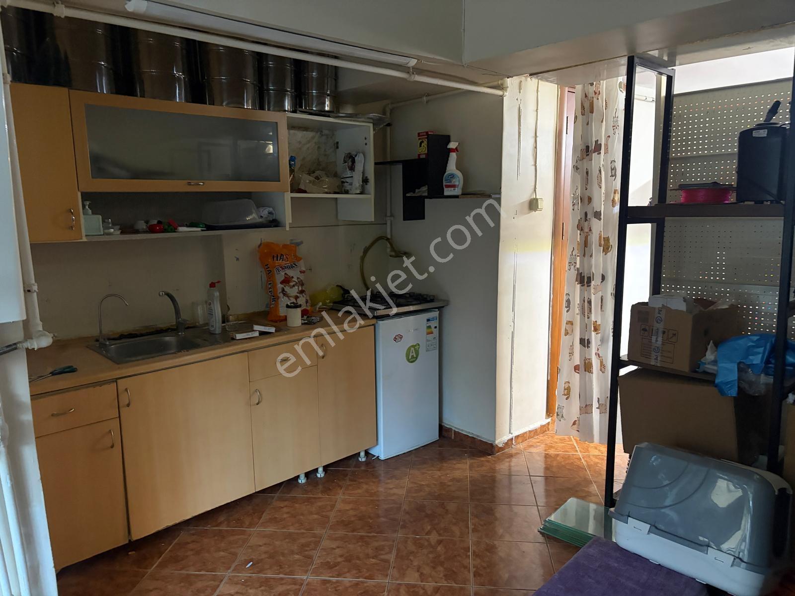 Varlı Kent'ten Devren Kiralık Her Şeyi Hazır Petshop Dükkanı - Görsel 8