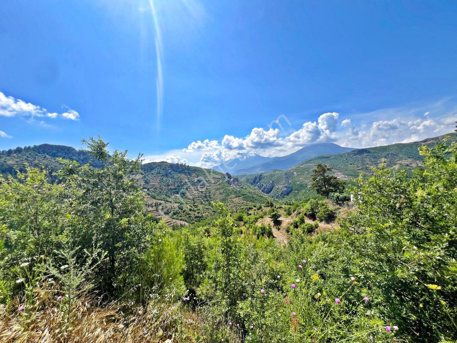 Alanya Fakırcalıda Satılık 2.689 M2 Doğa Manzaralı Müstakil Arsa - Görsel 22