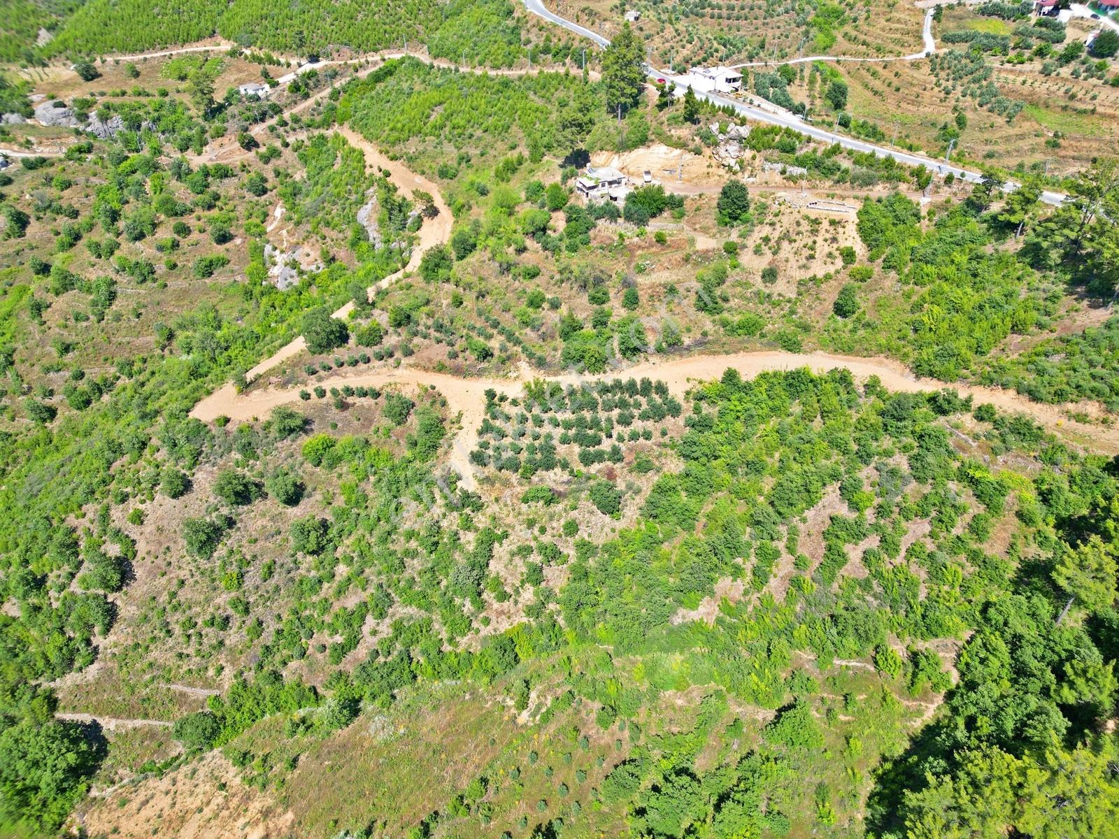 Alanya Fakırcalıda Satılık 2.689 M2 Doğa Manzaralı Müstakil Arsa - Görsel 3