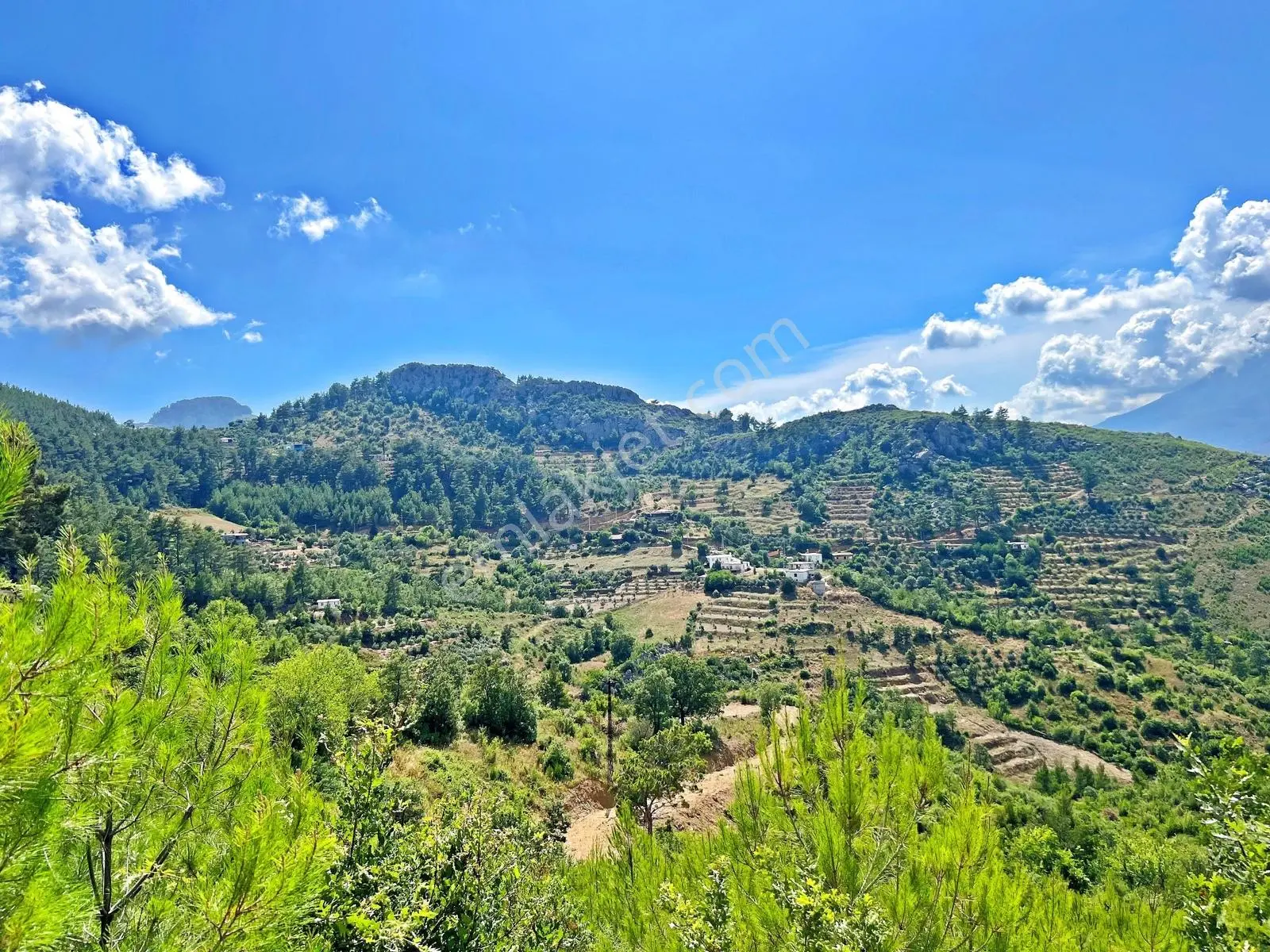 Alanya Fakırcalıda Satılık 2.689 M2 Doğa Manzaralı Müstakil Arsa - Görsel 28