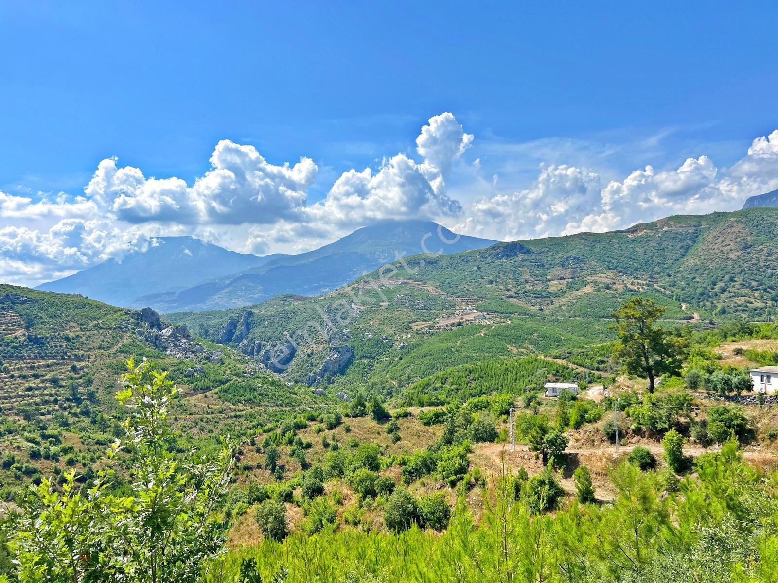Alanya Fakırcalıda Satılık 2.689 M2 Doğa Manzaralı Müstakil Arsa - Görsel 29