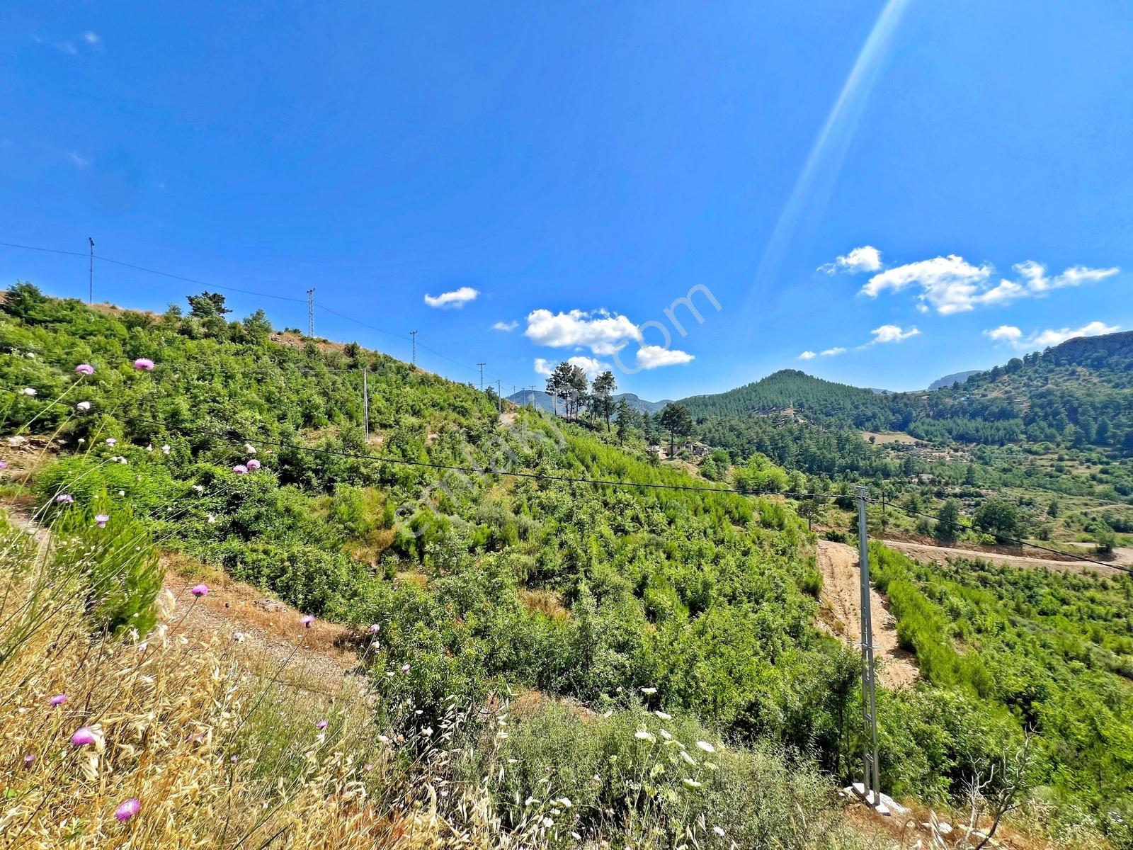 Alanya Fakırcalıda Satılık 2.689 M2 Doğa Manzaralı Müstakil Arsa - Görsel 13