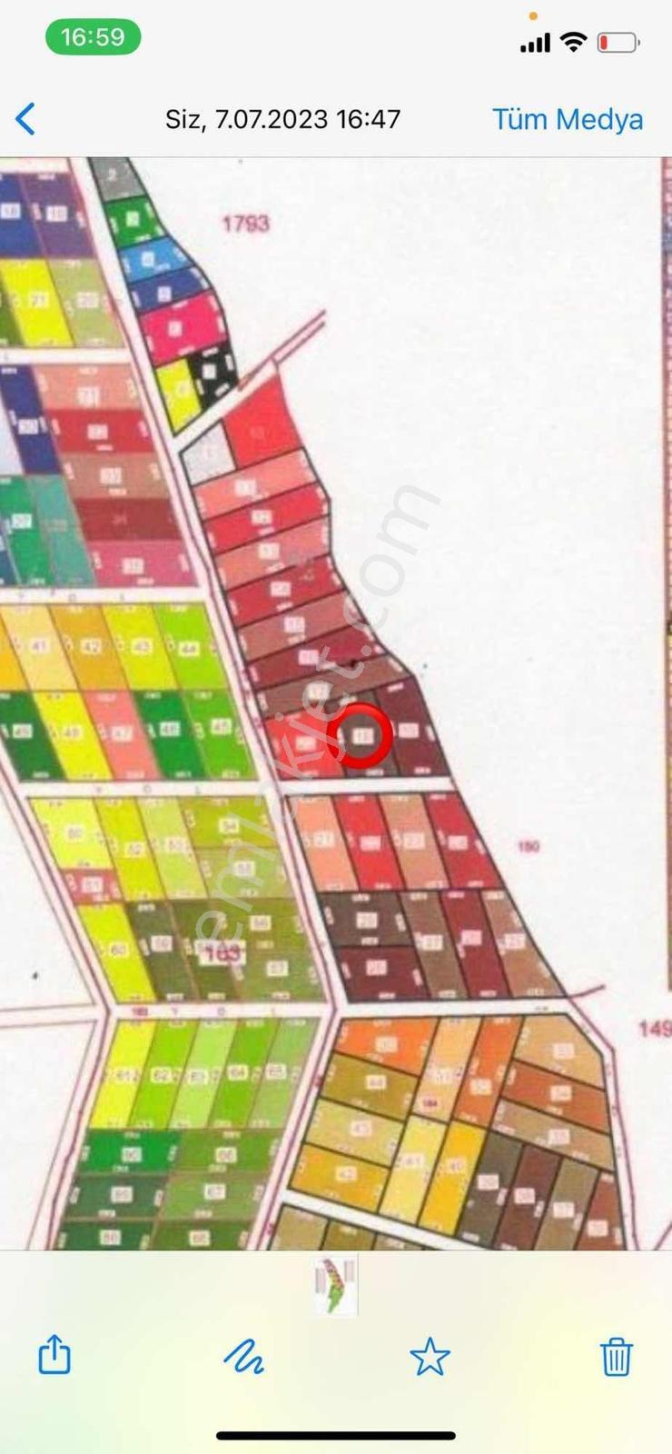 Kurfalı Köyünde Uygun Fiyata Satılık 900 M2 Çaplı Arsa - Görsel 3