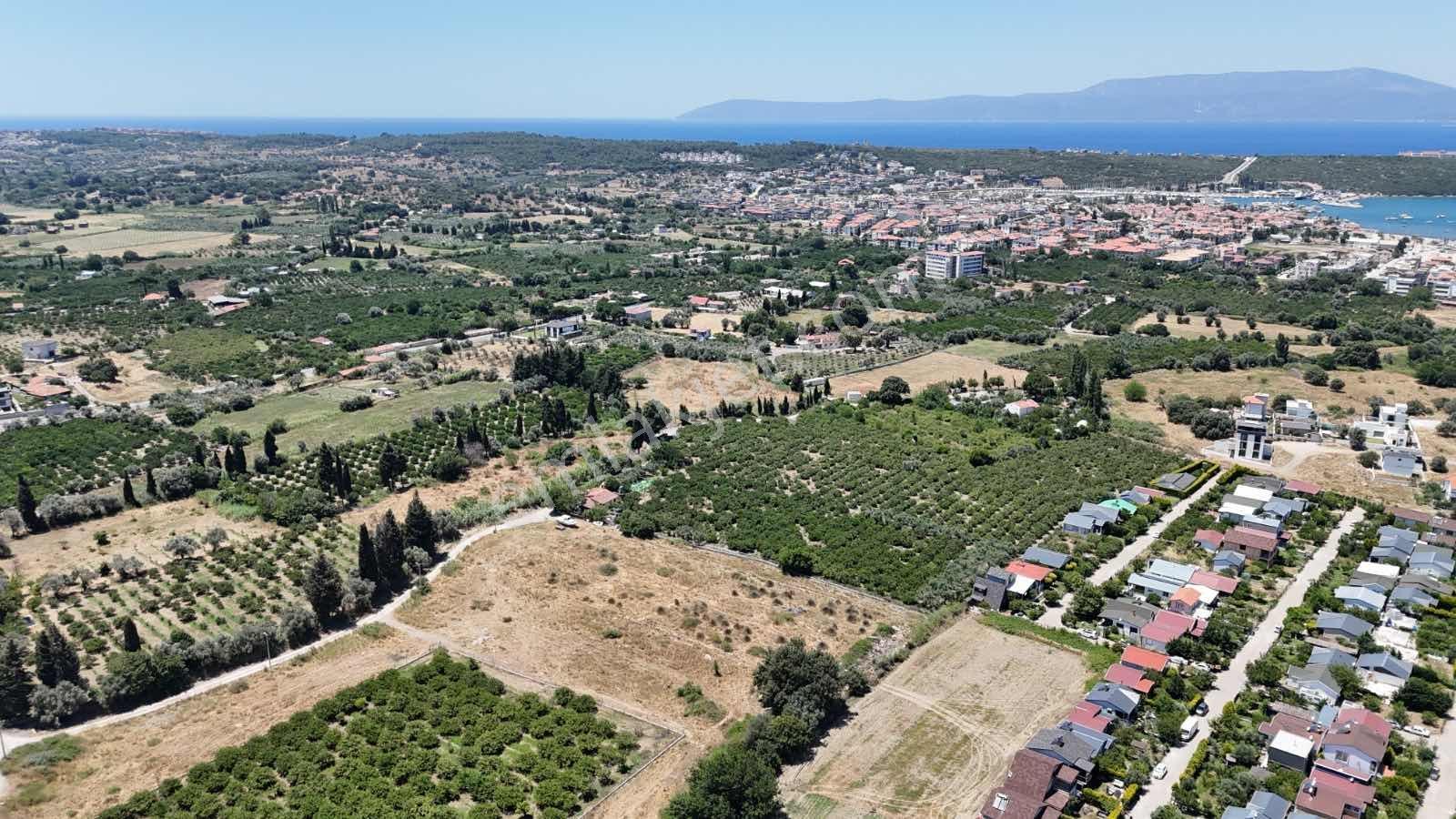 Sığacık'ta 6.400 M² Resmi Yolu Olan Mandalina Bahçesi - Görsel 9