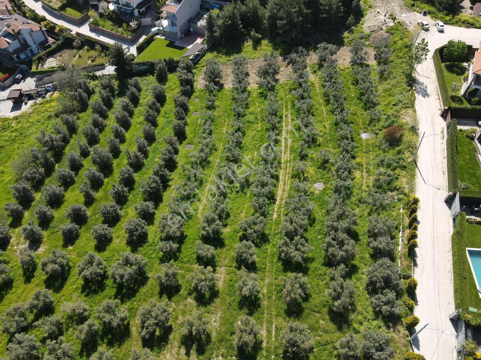 Mudanya Çağrışan'da Villa İmarlı 1953m² Satılık Arsa - Görsel 10