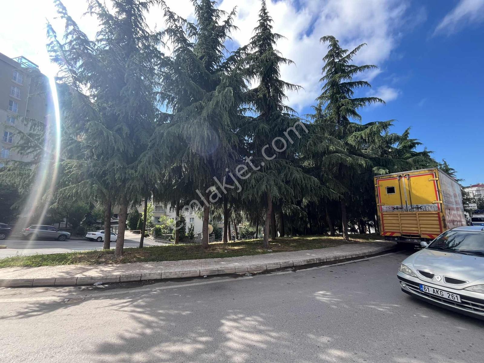 Trabzonda Kiralık Daire - Görsel 20