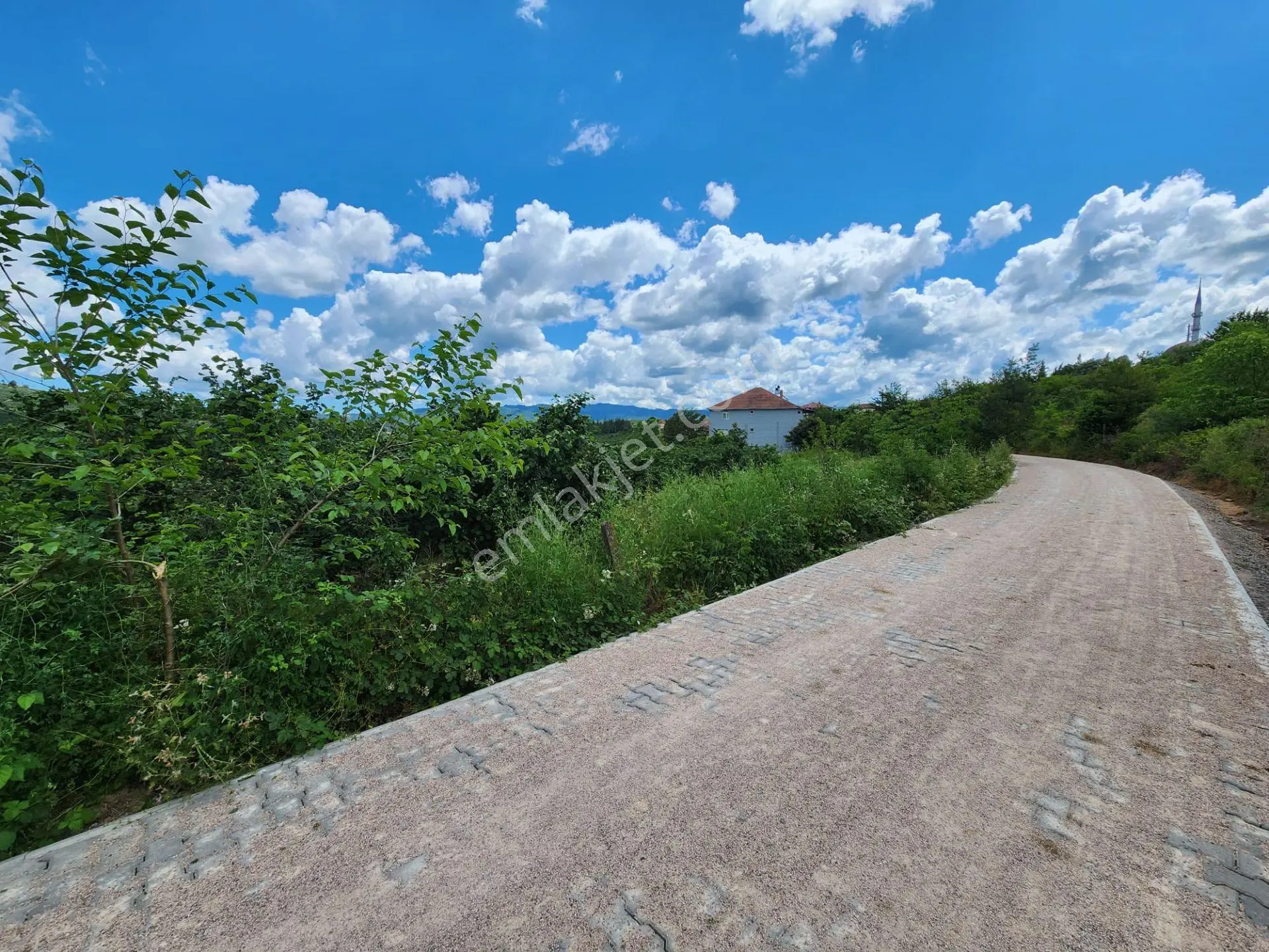 Söğütlü Karateke'de 2000m² İmarlı Arsa Yola Cephe Fındık Bahçesi