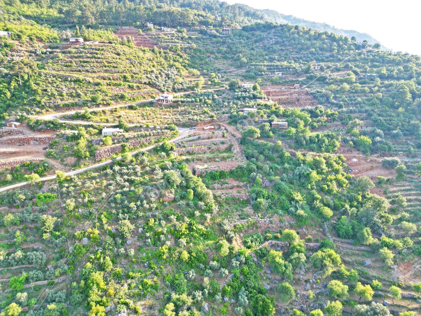 Alanya Türktaş'ta Satılık 2.802 M2 Doğa Manzaralı Müstakil Arsa - Görsel 14
