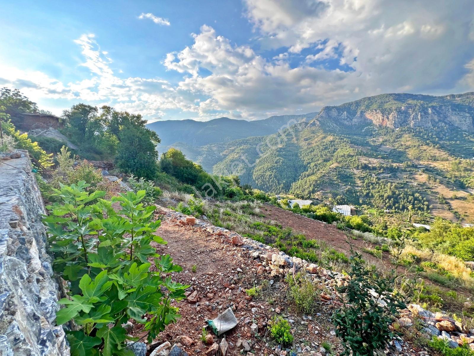 Alanya Türktaş'ta Satılık 2.802 M2 Doğa Manzaralı Müstakil Arsa - Görsel 29