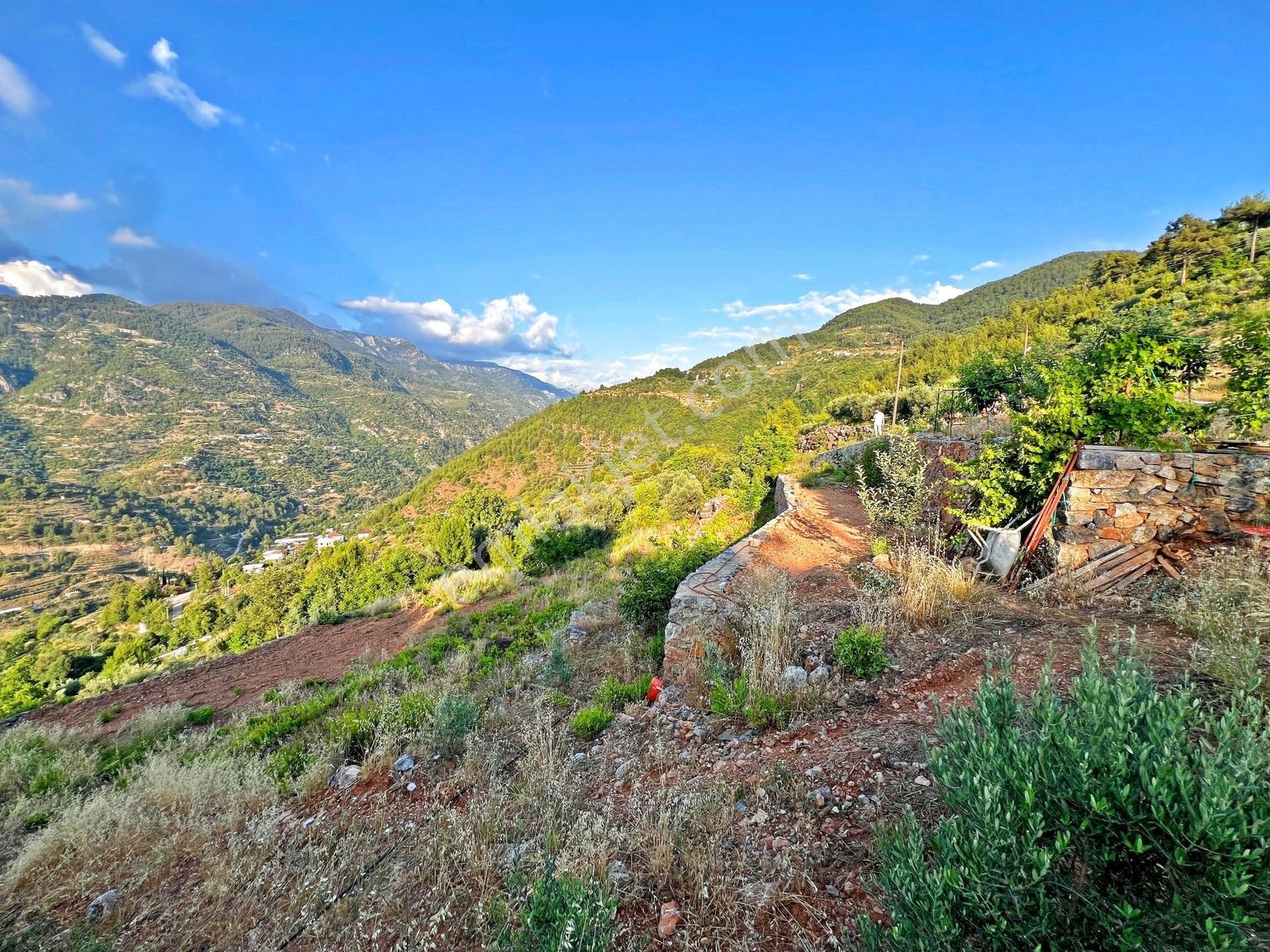 Alanya Türktaş'ta Satılık 2.802 M2 Doğa Manzaralı Müstakil Arsa - Görsel 20