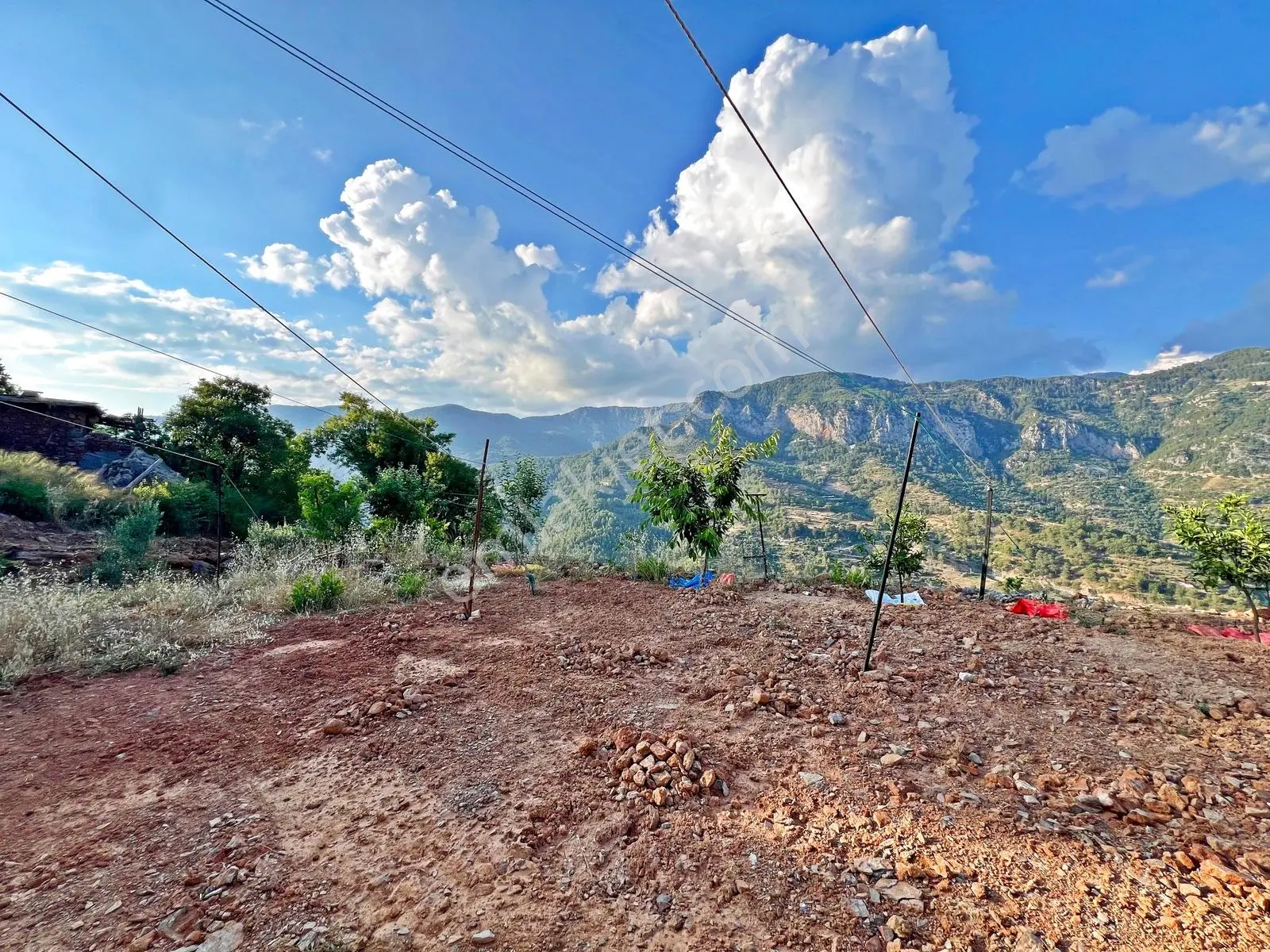 Alanya Türktaş'ta Satılık 2.802 M2 Doğa Manzaralı Müstakil Arsa - Görsel 3