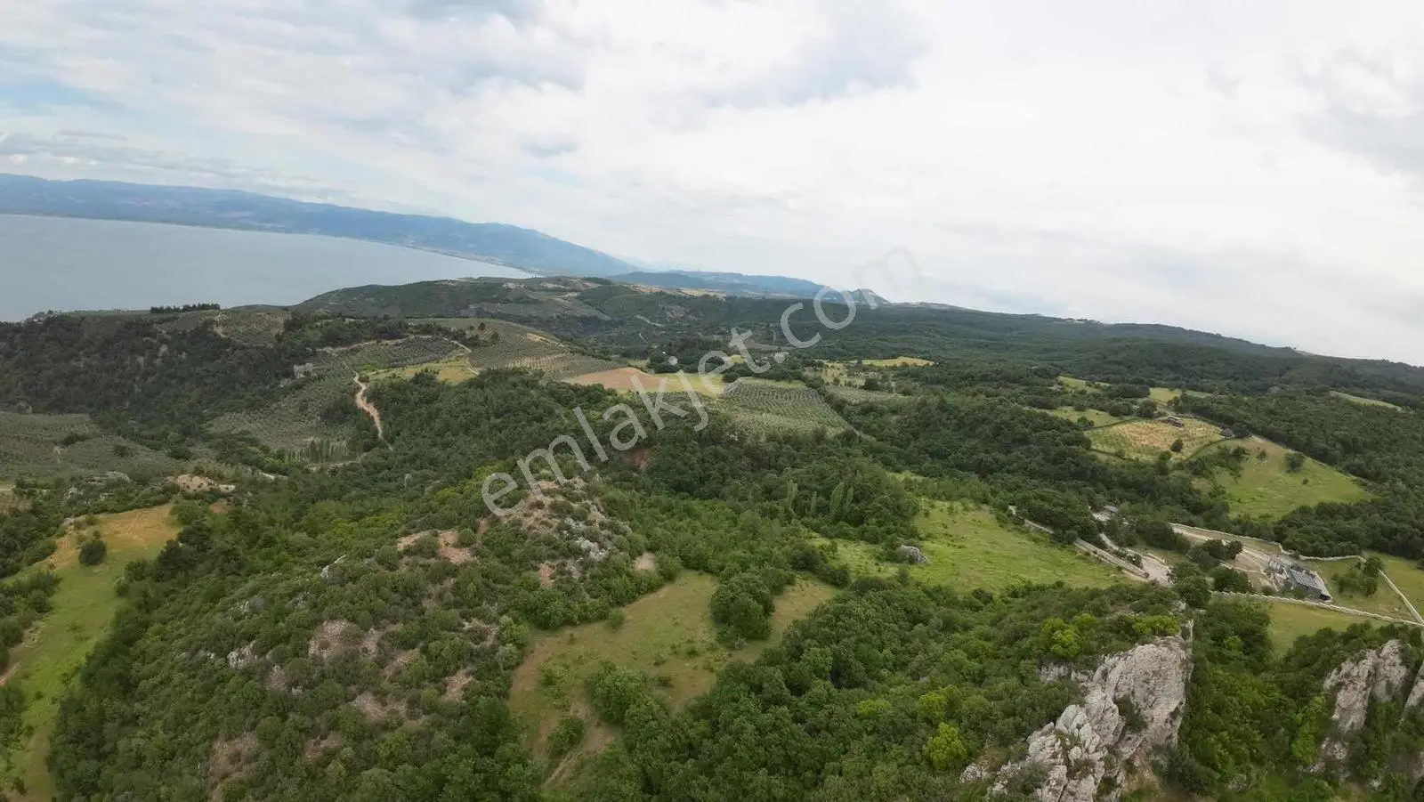 İznik Göllüce 5294 M2 Satılık Müstakil Tarla - Görsel 4