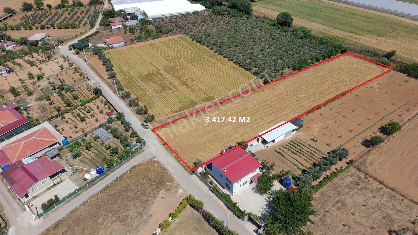 Menderes Ataköy'de Ana Yola Cepheli 3.417 M² Satılık Tarla