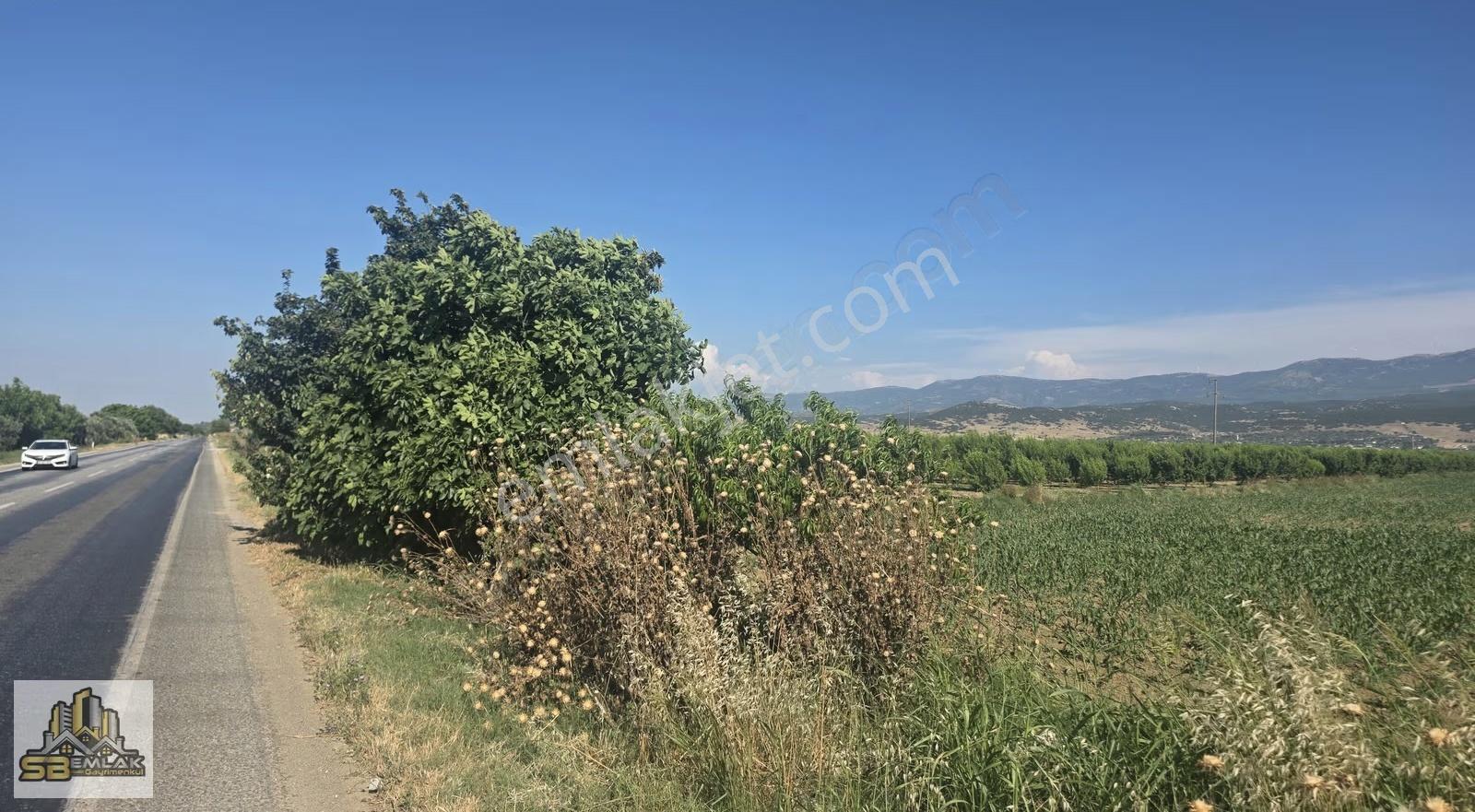 İzmir Tire Sb Emlak'tan Eskioba Mahallesinde Yatırımlık Tarla - Görsel 3