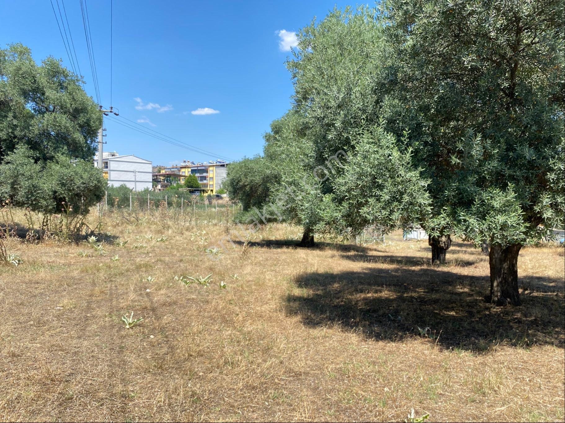 Nazilli Pınarbaşı Mahallesinde Konut İmarlı Arsa - Görsel 6