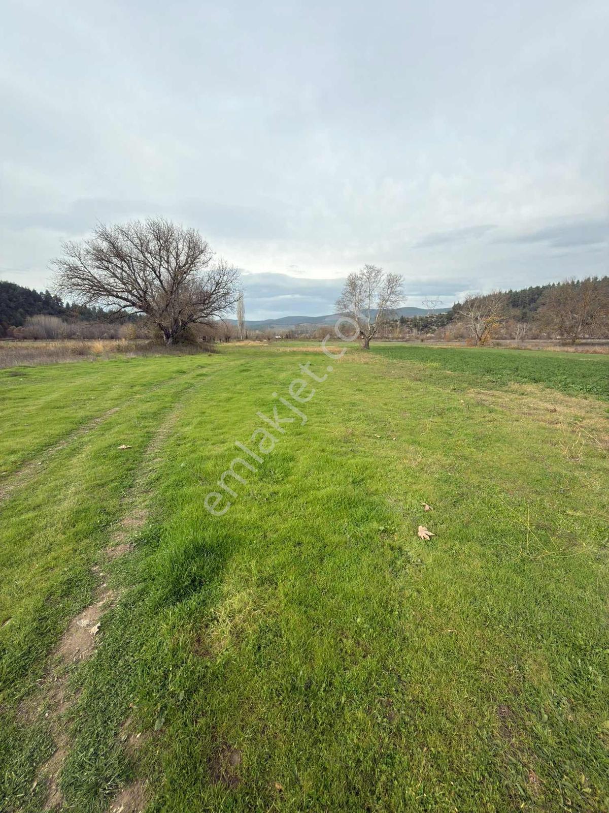 Orhaneli Deliballarda Satılık 2.193 M2 Arazi - Görsel 2