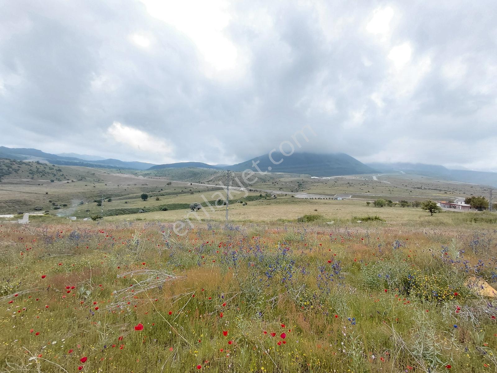 Hacılar Aşağı Mahalle Satılık 1000 M2 Manzaralı Tarla - Görsel 7
