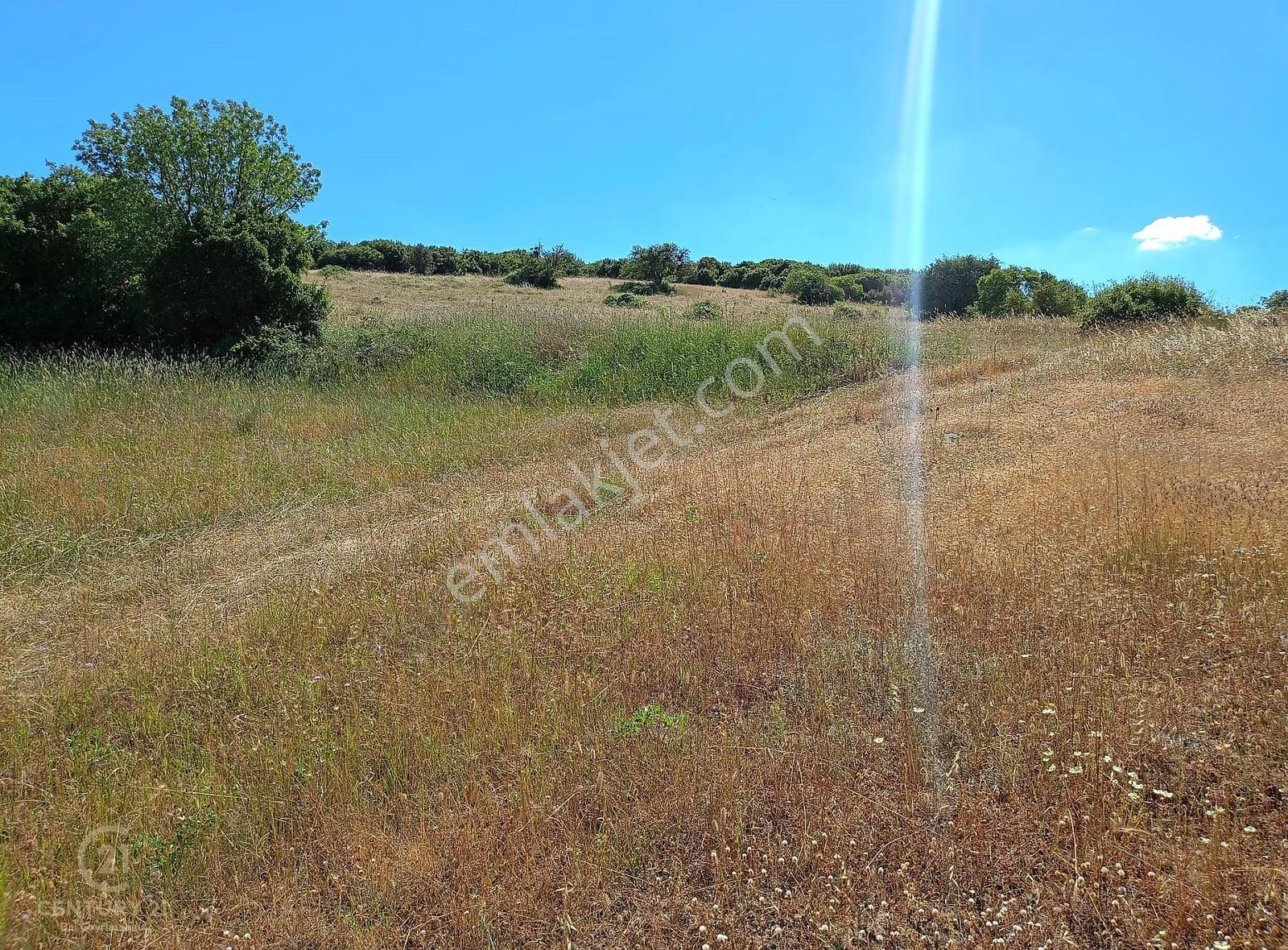 Ziyaretli'de Balıkesir Merkeze 4,5 Km Mesafede 7.600 M² Tarla - Görsel 2