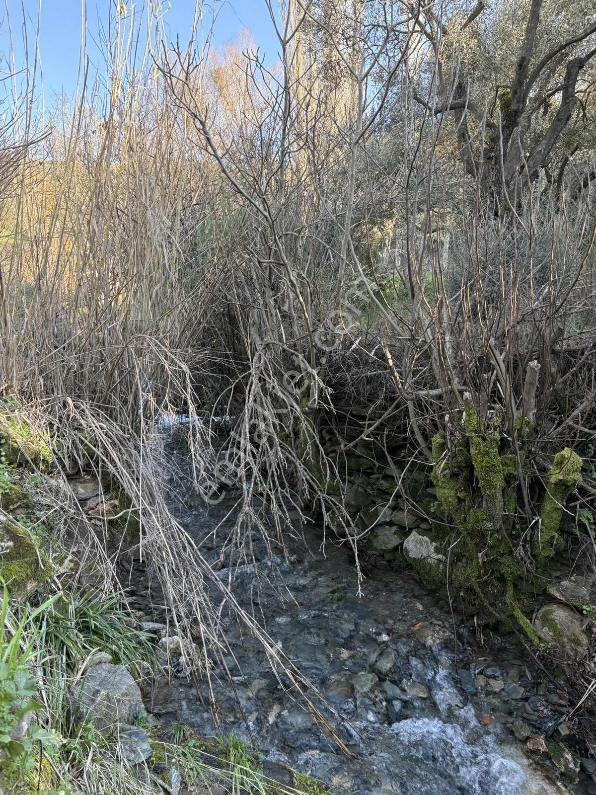 Muğla Menteşe Yeşilyurt Mah. 3538 M2 Satılık Tarla - Görsel 8