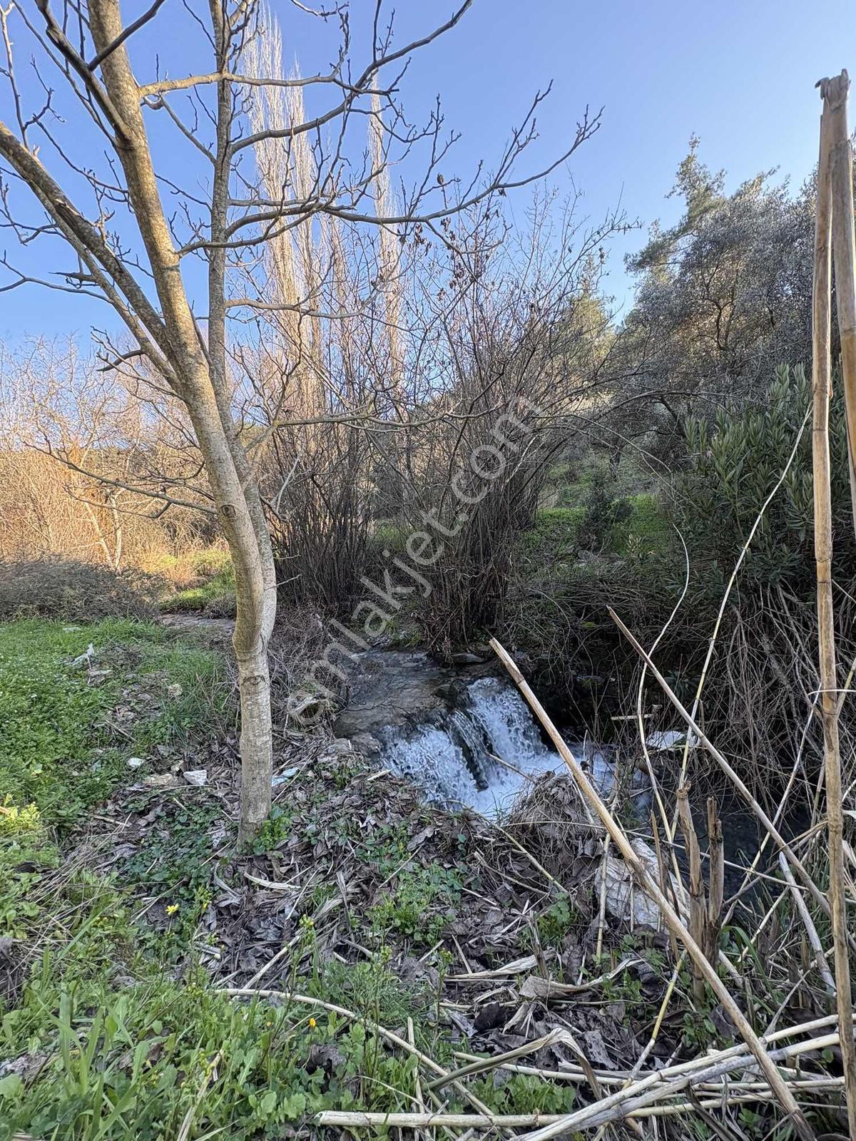 Muğla Menteşe Yeşilyurt Mah. 3538 M2 Satılık Tarla - Görsel 4