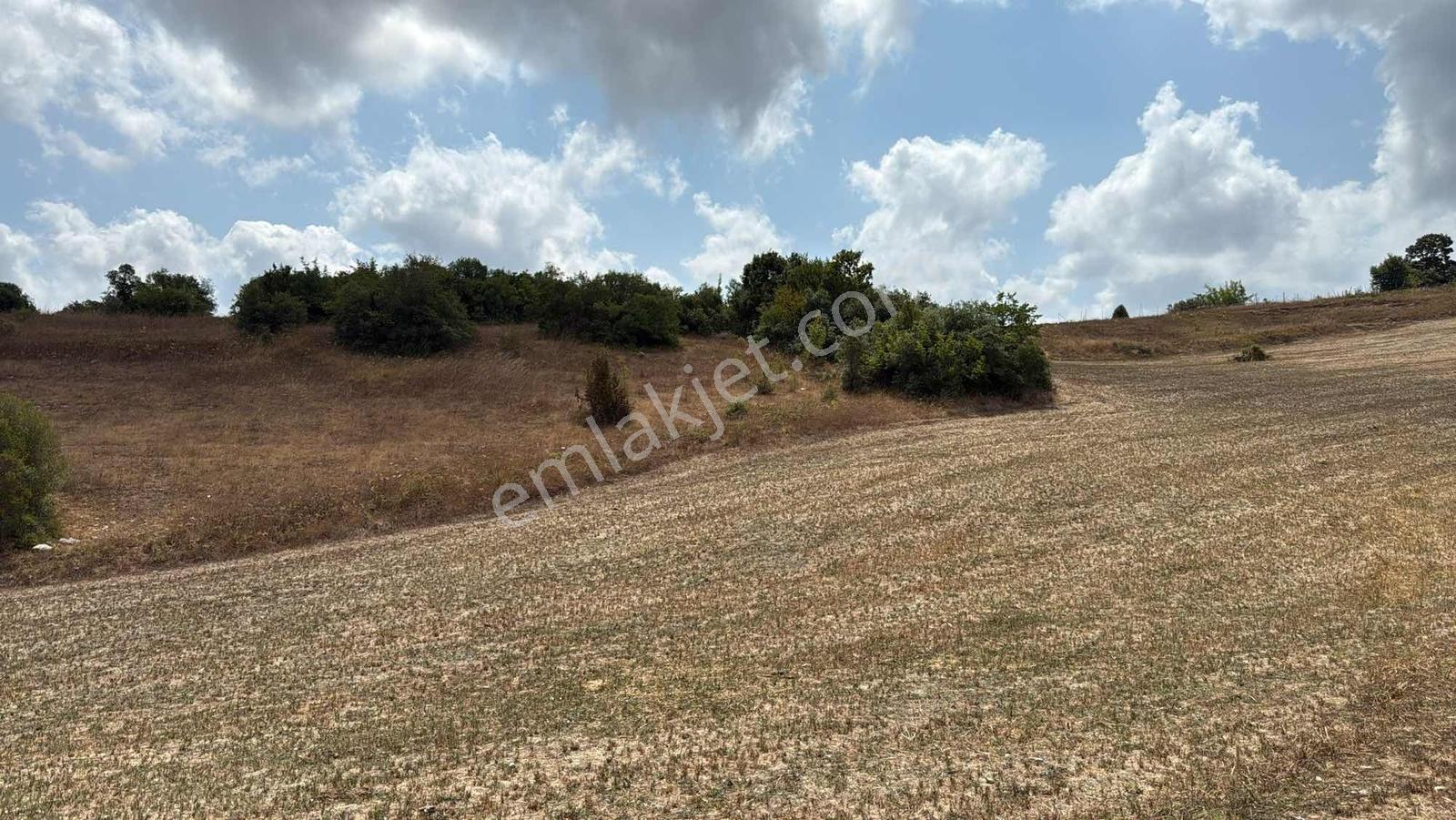 Kandıra Üğümce 1.783 M2 Yatırımlık Arazi