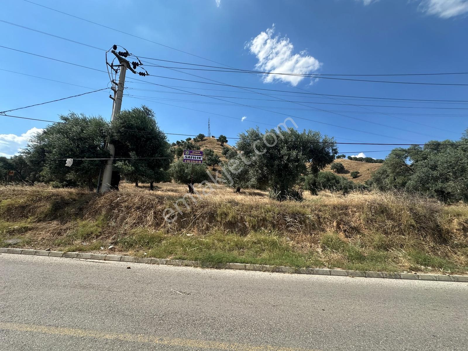 Nazillide Şehrin İçinde Yatırımlık Bahçe - Görsel 6