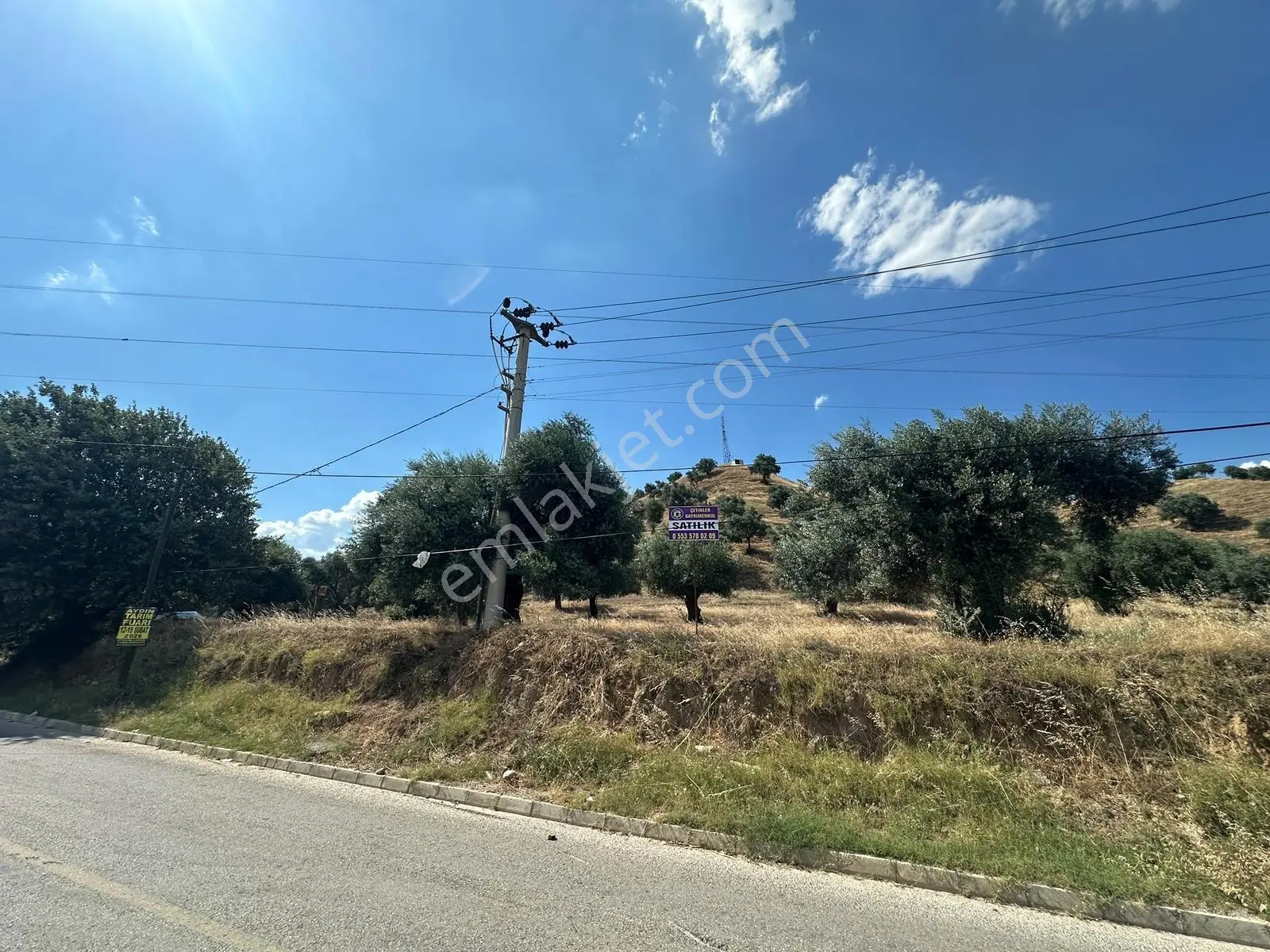 Nazillide Şehrin İçinde Yatırımlık Bahçe