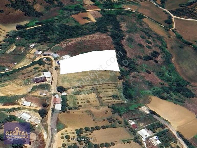 Kestel Yapmurlu'da 1000 Lık Planda