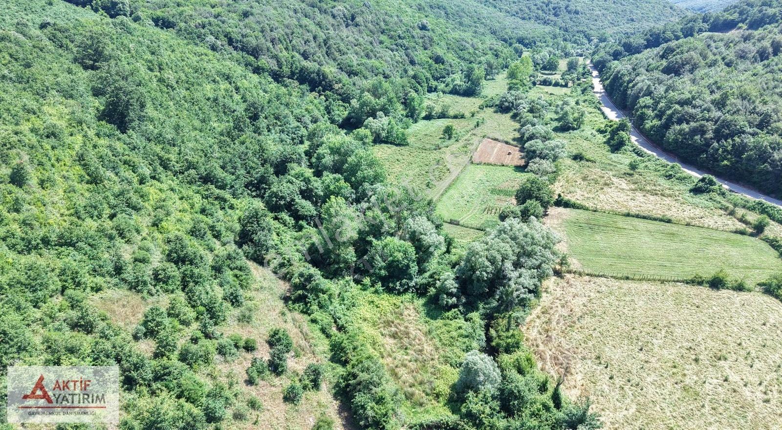 Bağırganlı'da Doğa Manzaralı 2629 M2 Tarla - Görsel 20