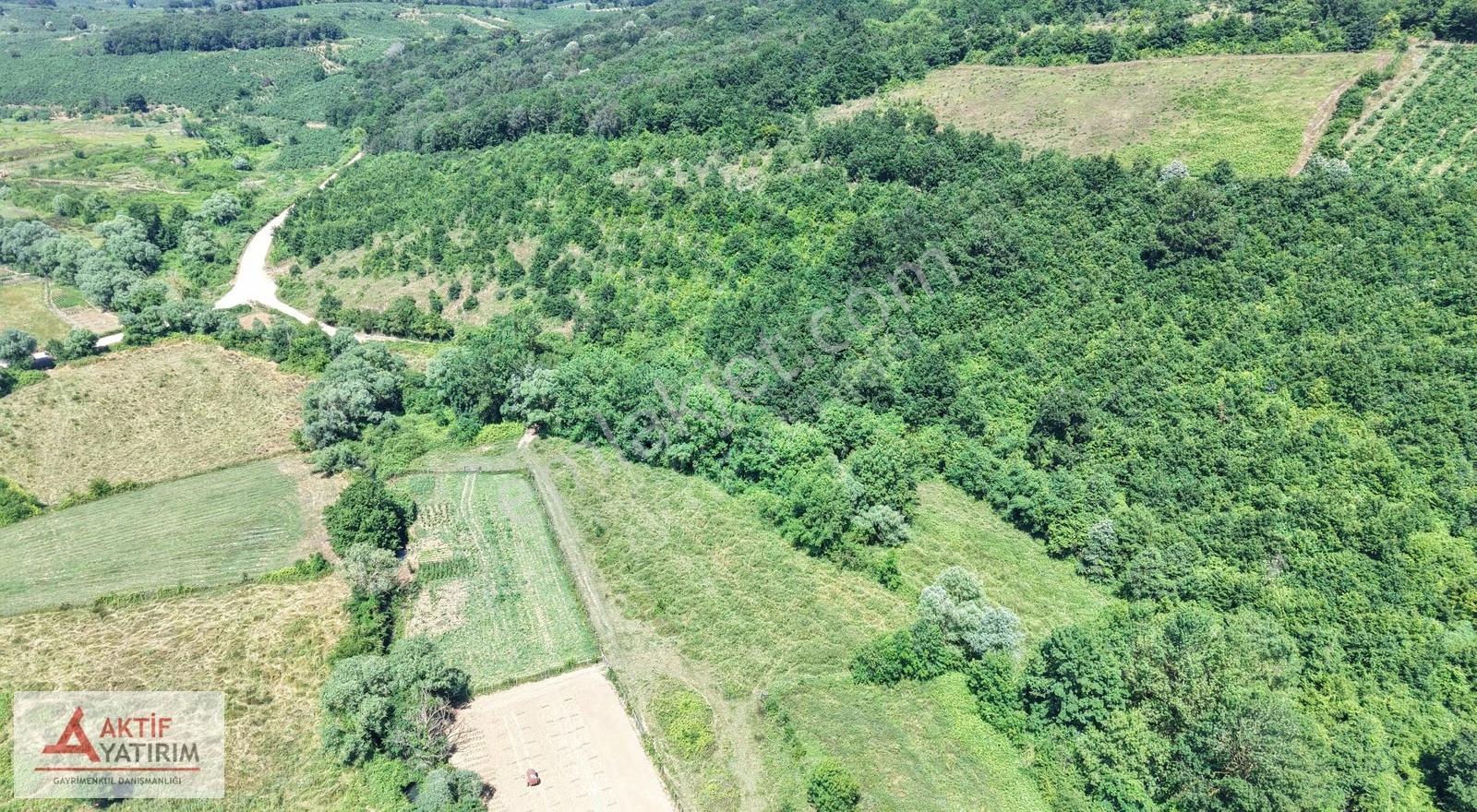 Bağırganlı'da Doğa Manzaralı 2629 M2 Tarla - Görsel 31
