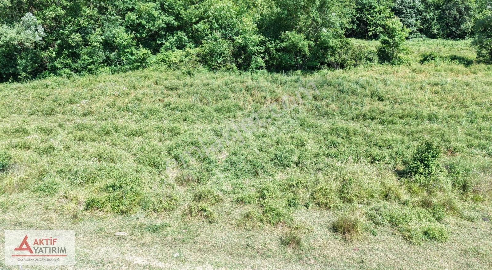 Bağırganlı'da Doğa Manzaralı 2629 M2 Tarla - Görsel 23