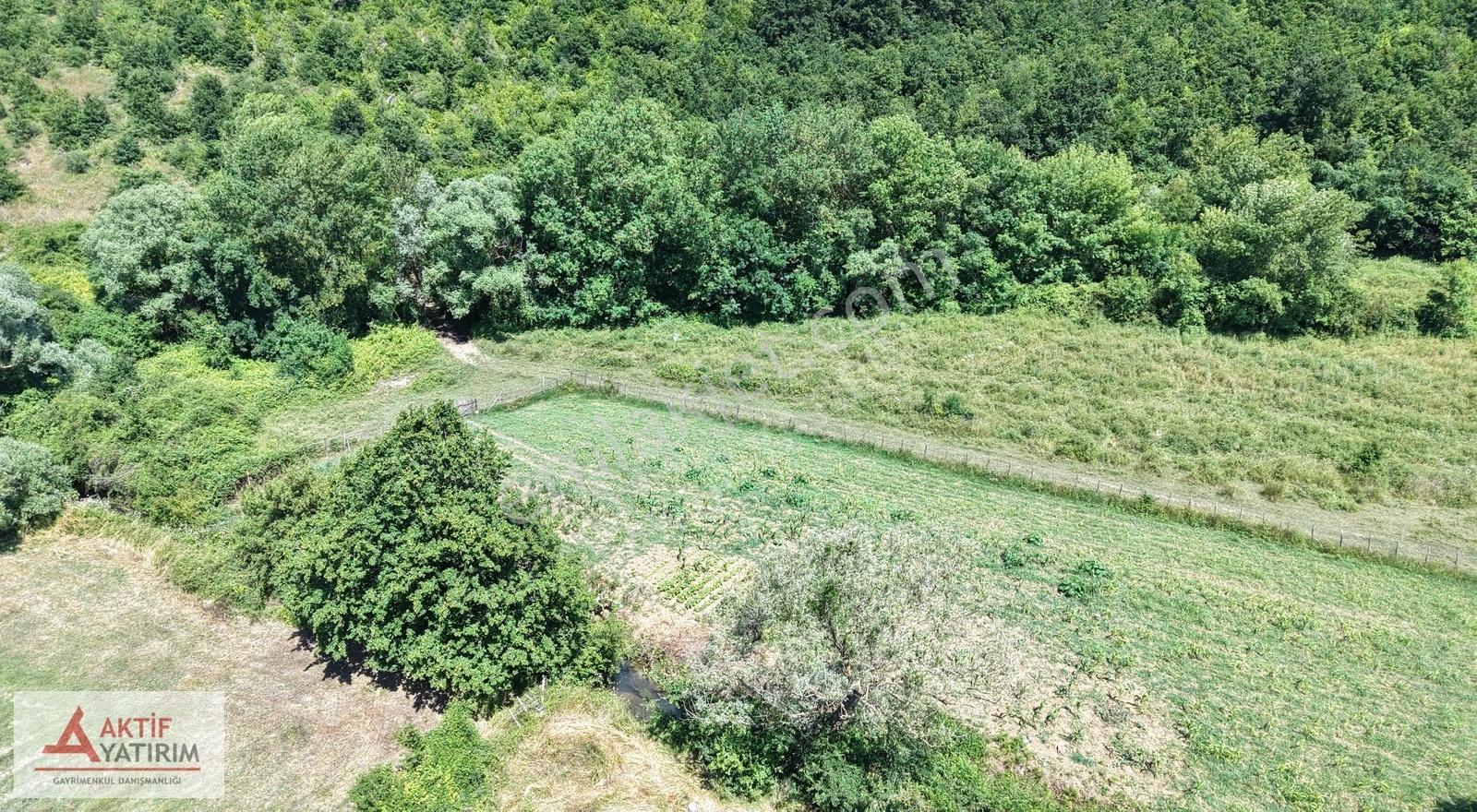 Bağırganlı'da Doğa Manzaralı 2629 M2 Tarla - Görsel 14