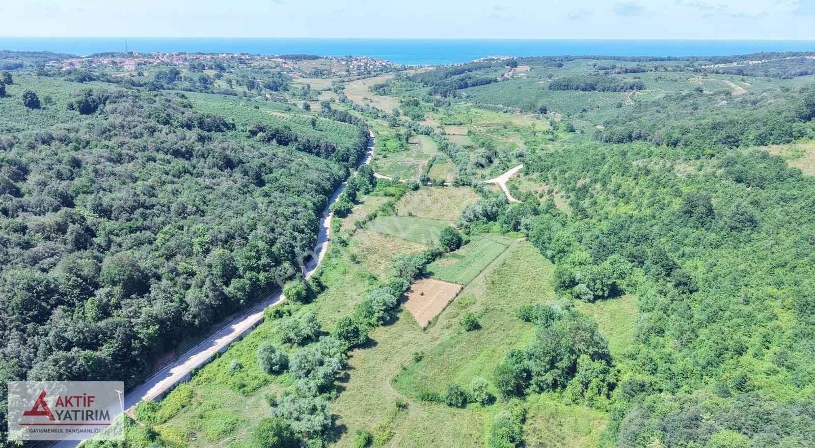 Bağırganlı'da Doğa Manzaralı 2629 M2 Tarla - Görsel 22