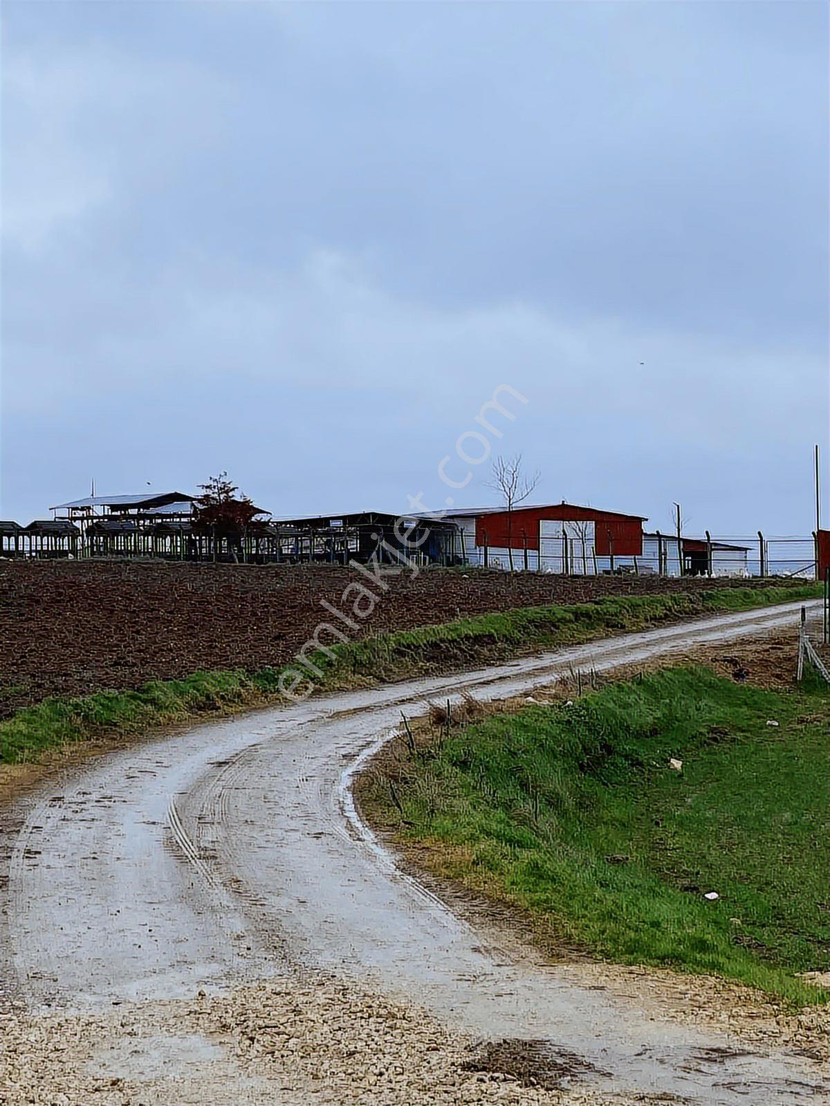Istanbul Silivri Değirmenköy Sahibinden Satılık Arsa - Görsel 30