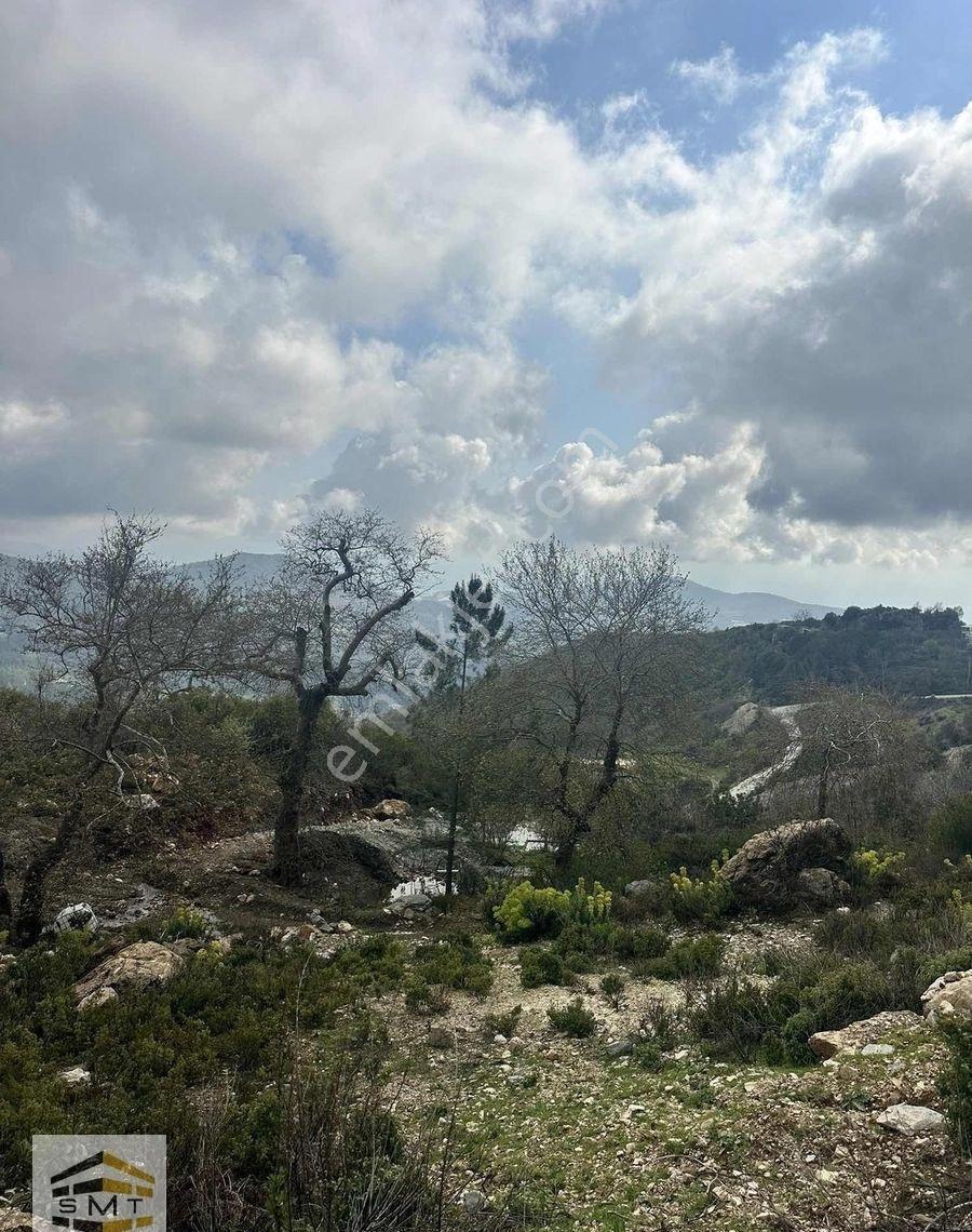 Alanya Gözüküçüklü Mahallesi Satılık 1848 M2 Tarla - Görsel 15